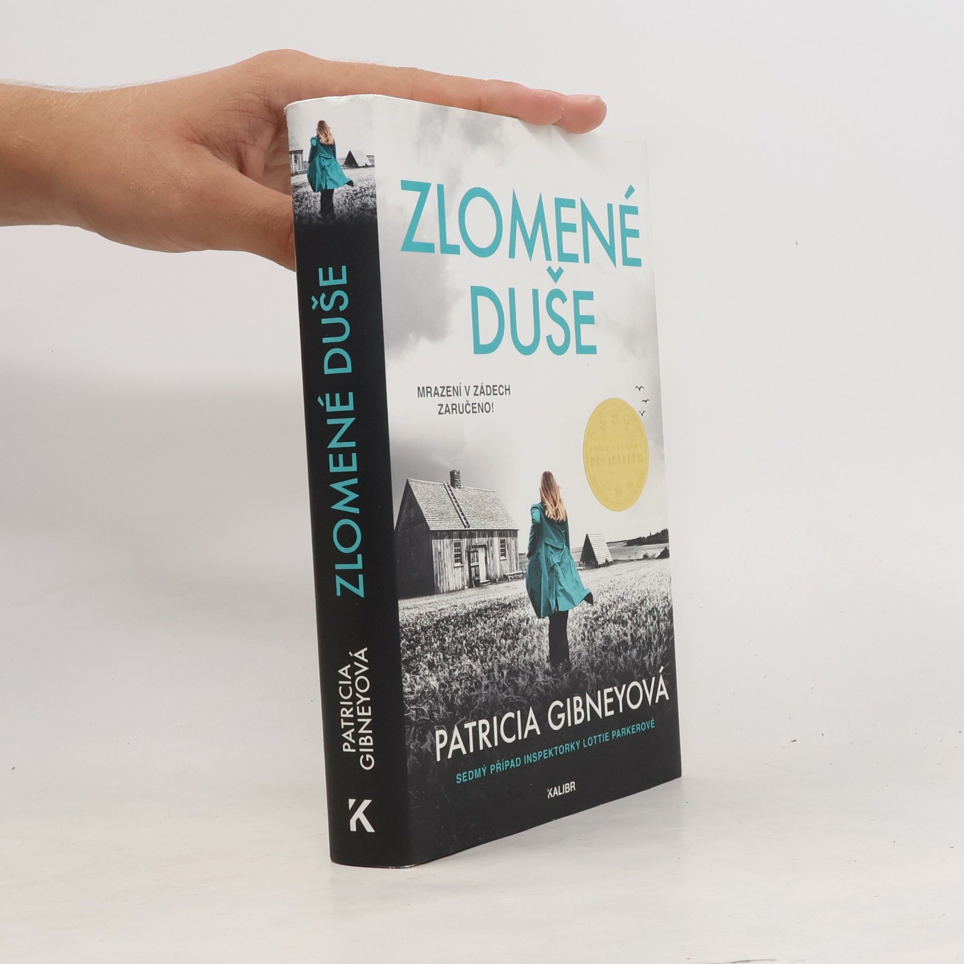 Patricia Gibney Zlomené Duše