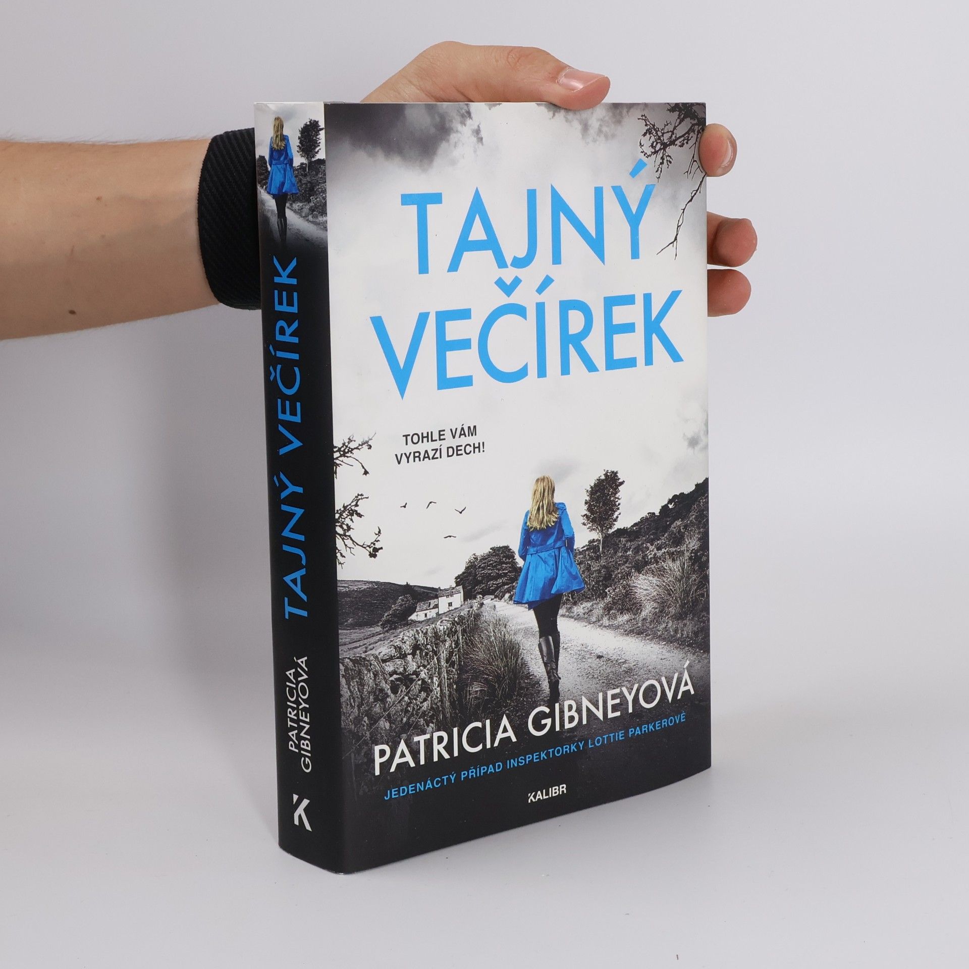 Patricia Gibney Tajný večírek