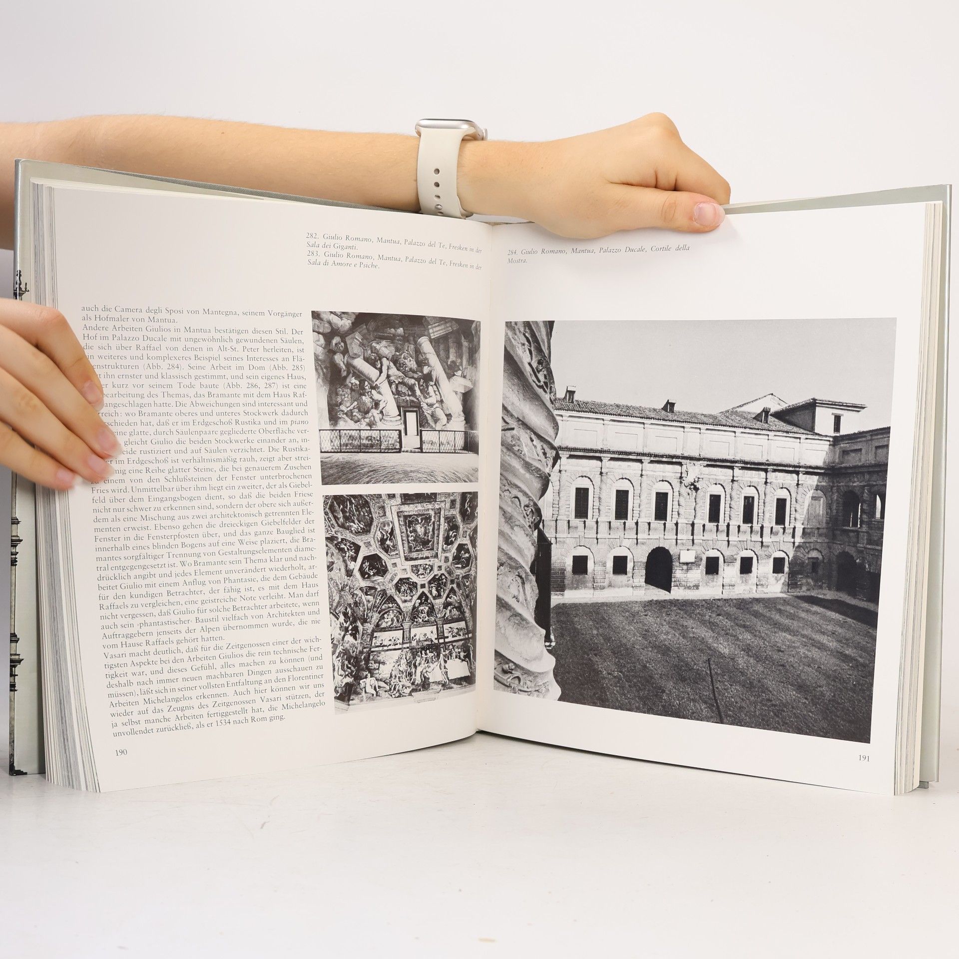 Peter Murray Weltgeschichte der Architektur: Architektur der Renaissance