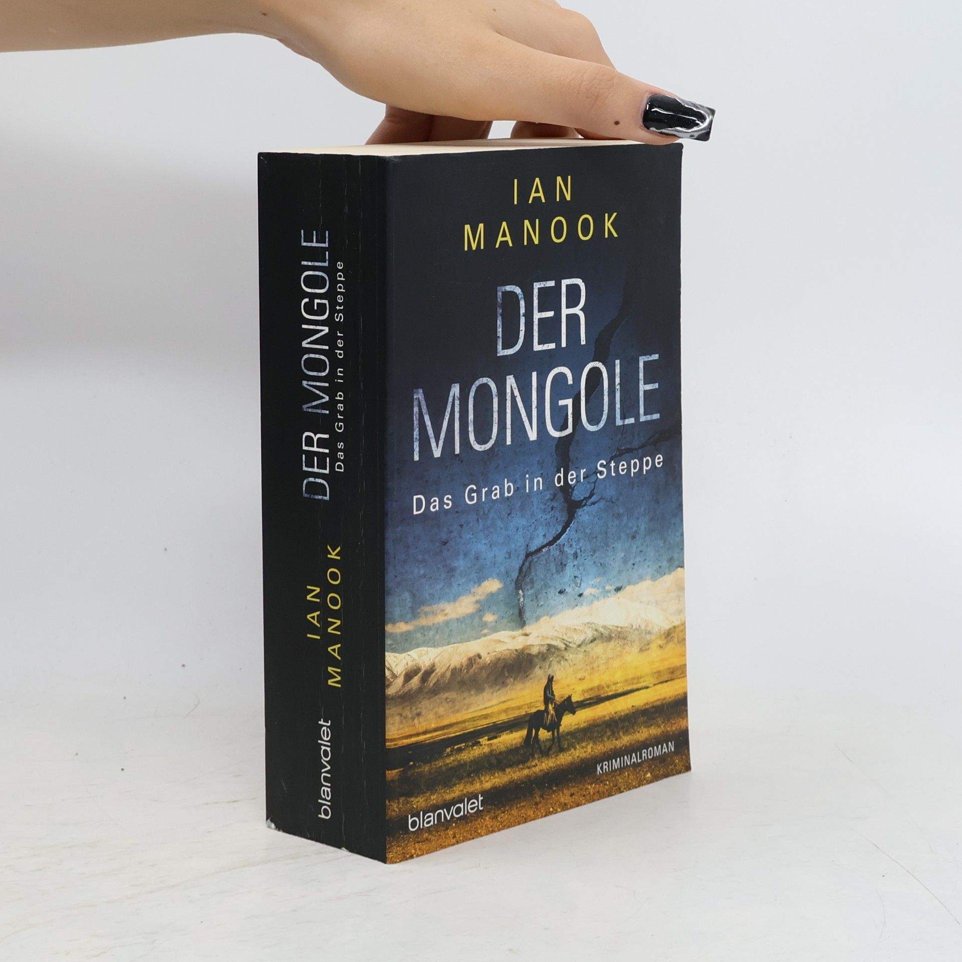 Ian Manook Der Mongole - Das Grab in der Steppe