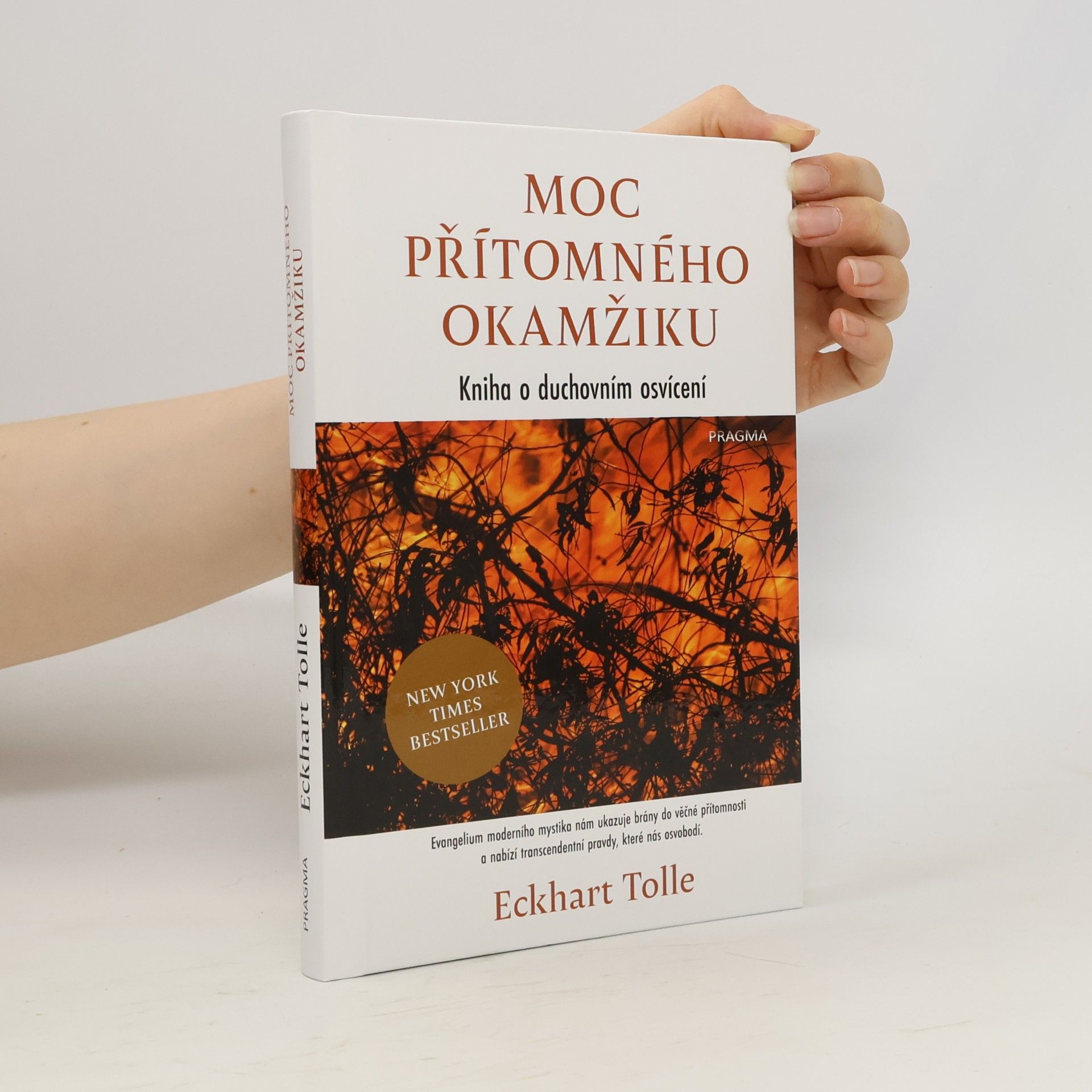 Eckhart Tolle Moc přítomného okamžiku