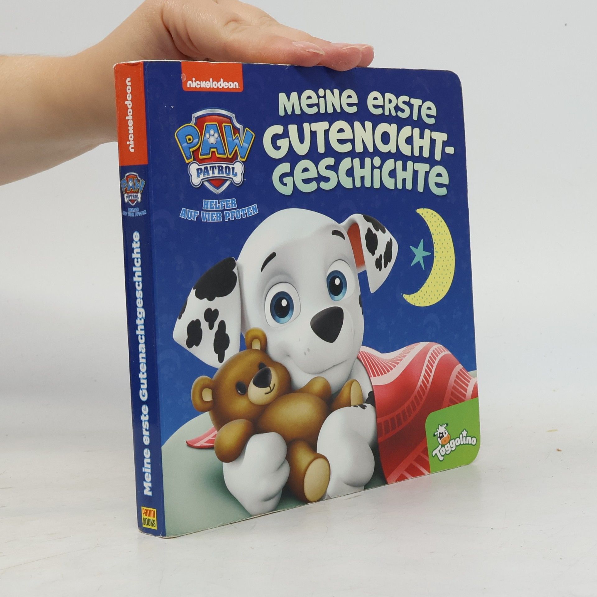 Tex Huntley PAW Patrol: Meine erste Gutenachtgeschichte
