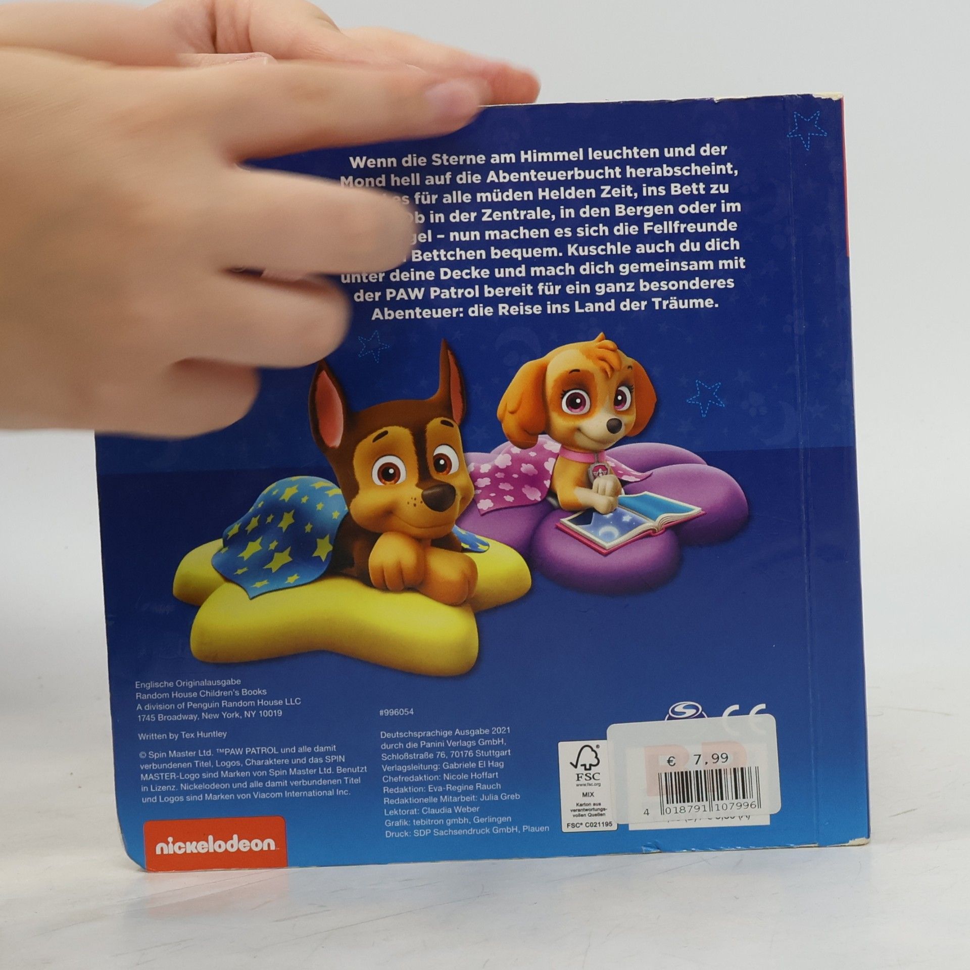 Tex Huntley PAW Patrol: Meine erste Gutenachtgeschichte