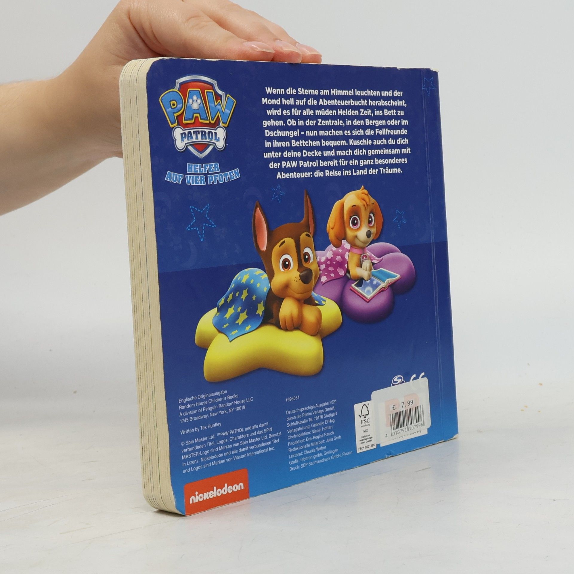 Tex Huntley PAW Patrol: Meine erste Gutenachtgeschichte