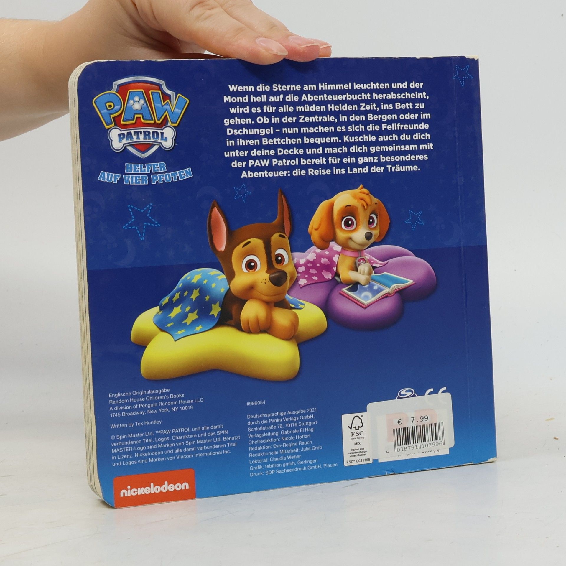 Tex Huntley PAW Patrol: Meine erste Gutenachtgeschichte