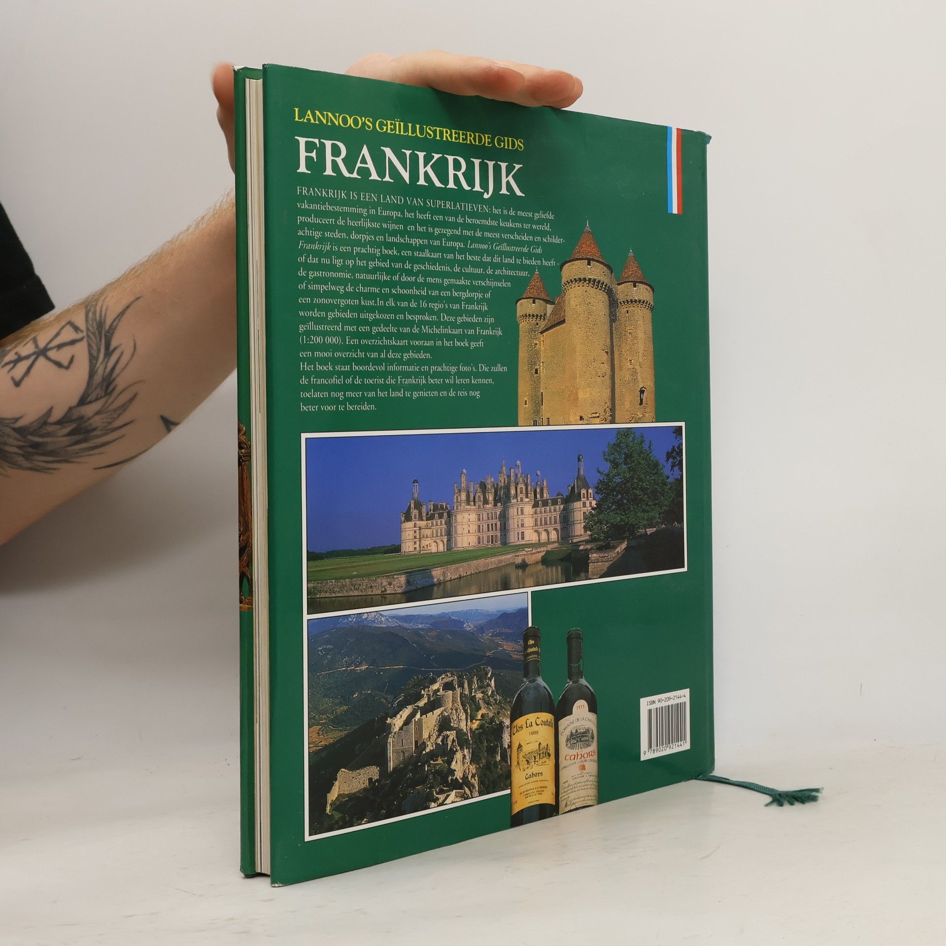 Rebecca King Lannoo's geïllustreerde gids Frankrijk