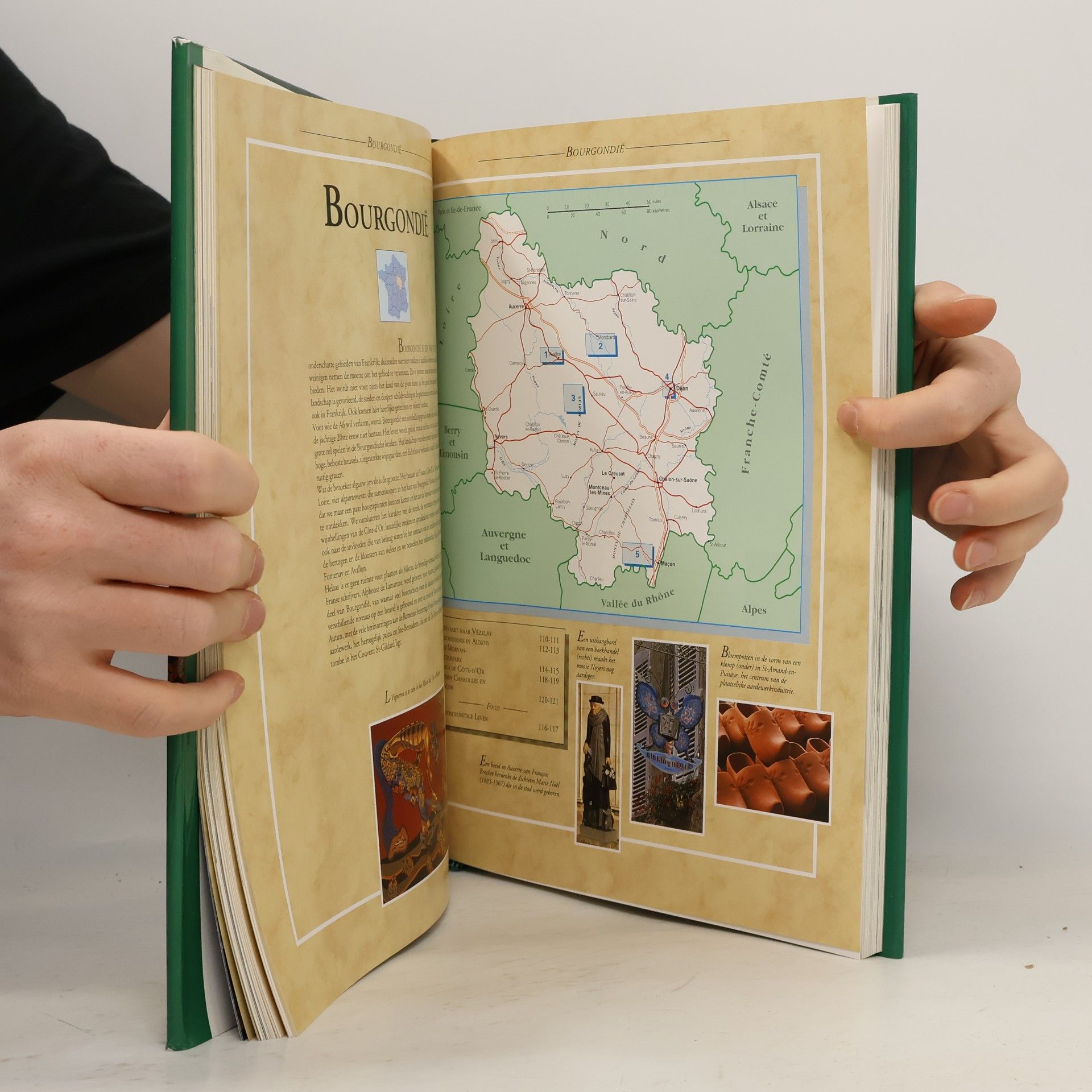 Rebecca King Lannoo's geïllustreerde gids Frankrijk