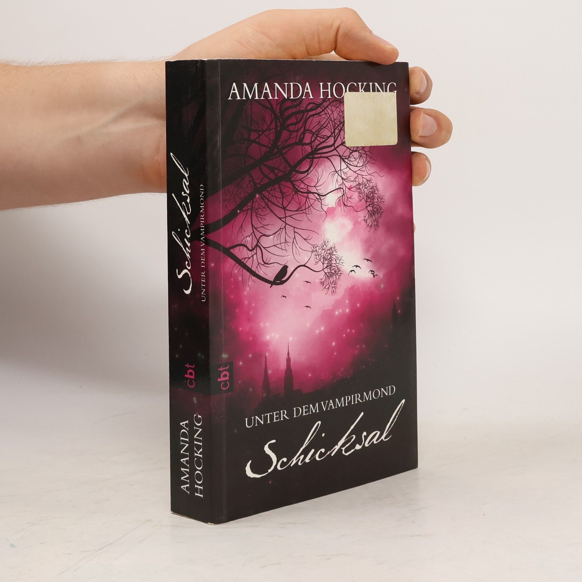Amanda Hocking Unter dem Vampirmond - Schicksal
