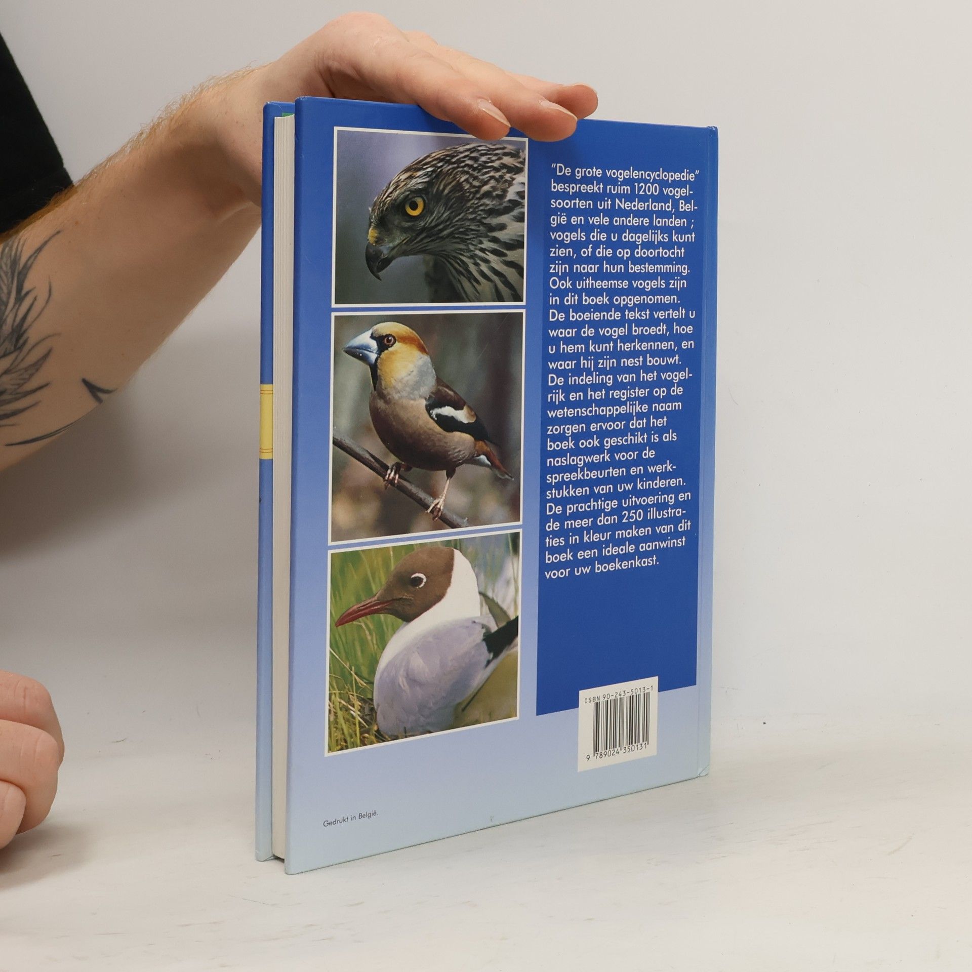 G. Reynaert Grote vogelencyclopedie
