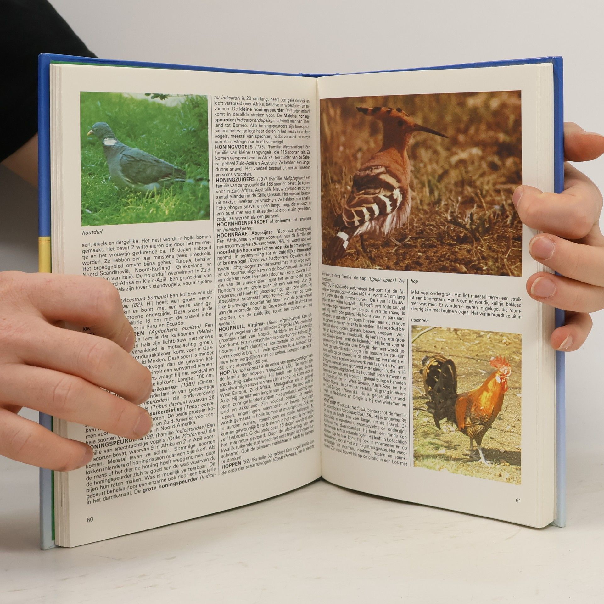 G. Reynaert Grote vogelencyclopedie