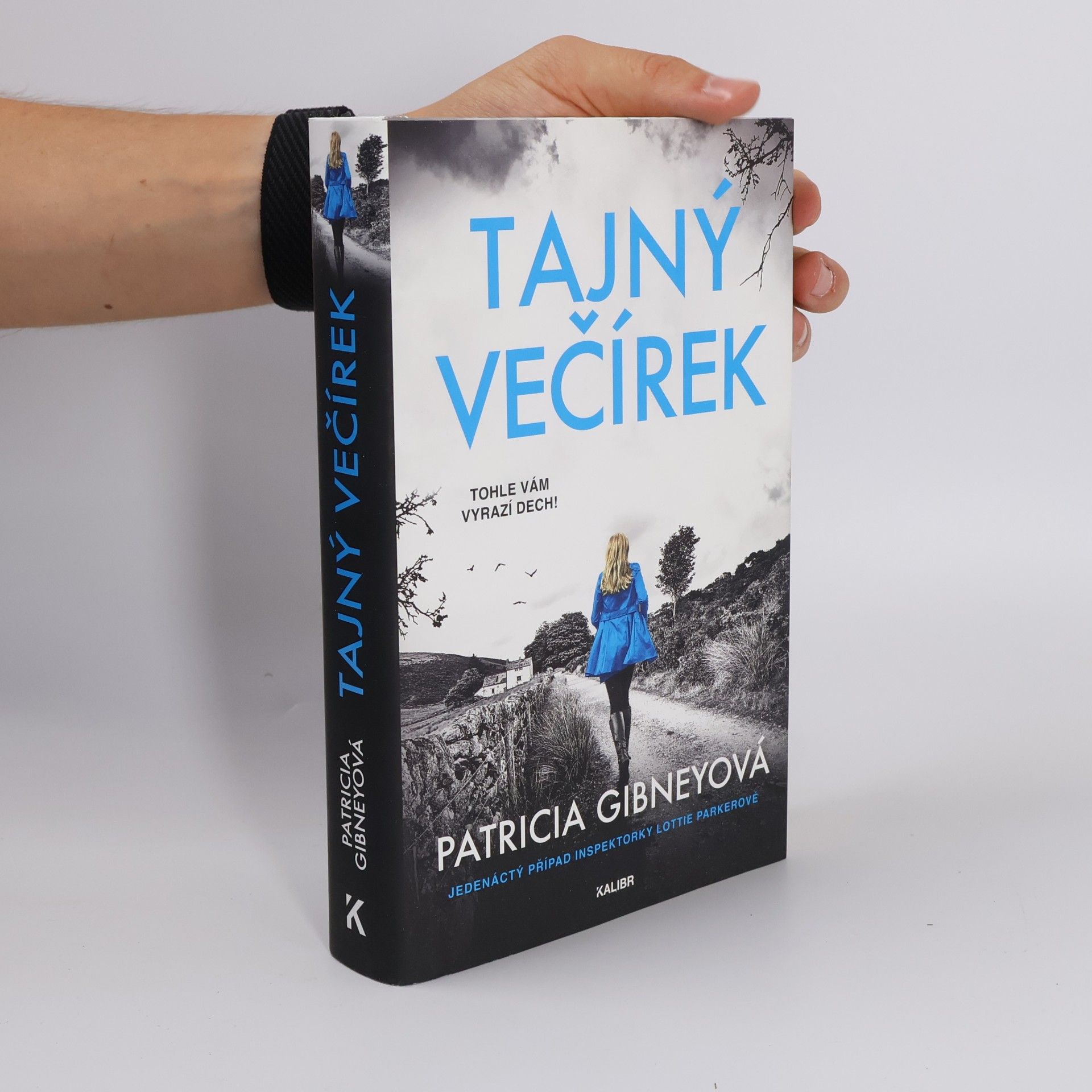 Patricia Gibney Tajný večírek