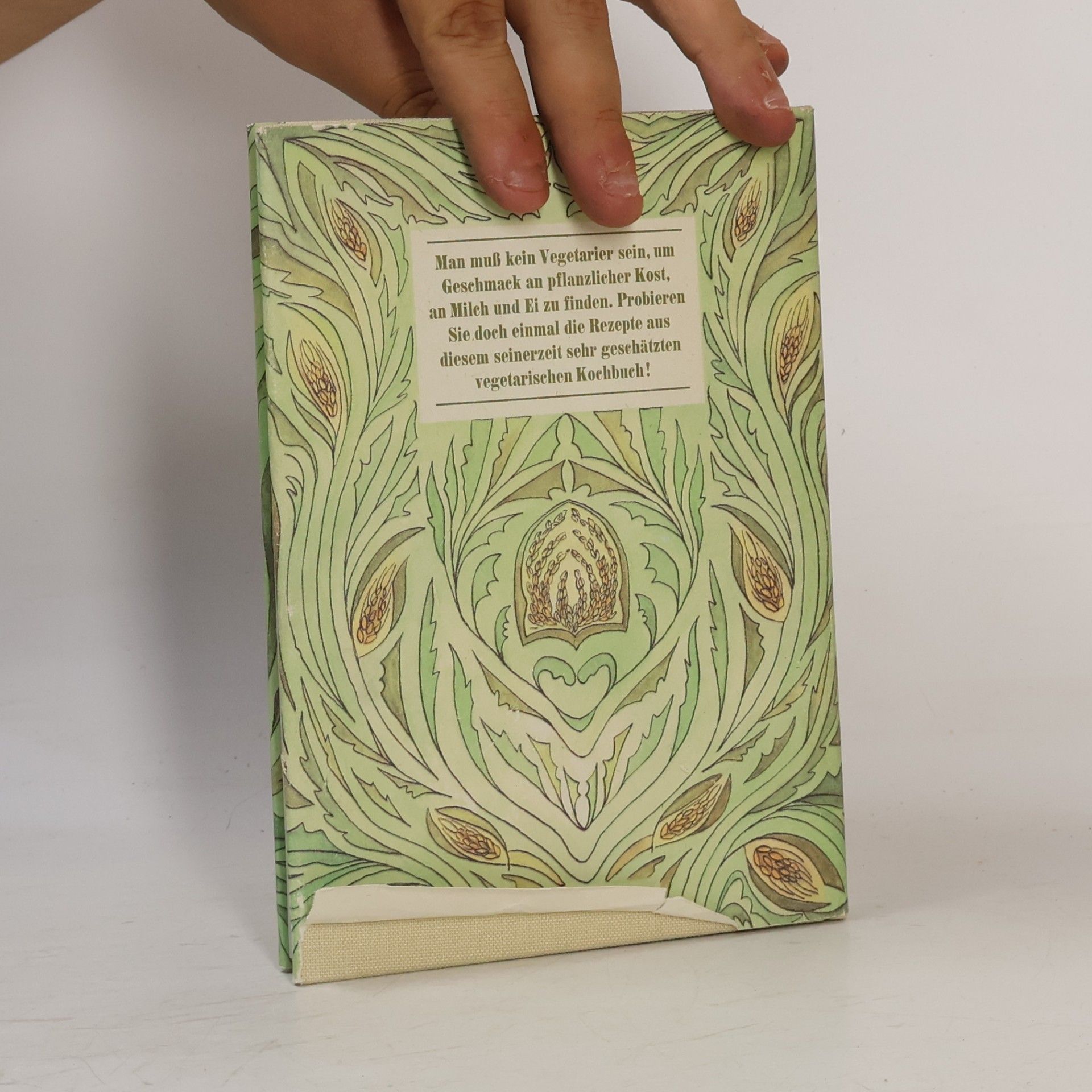 Anna Springer Vegetarisches