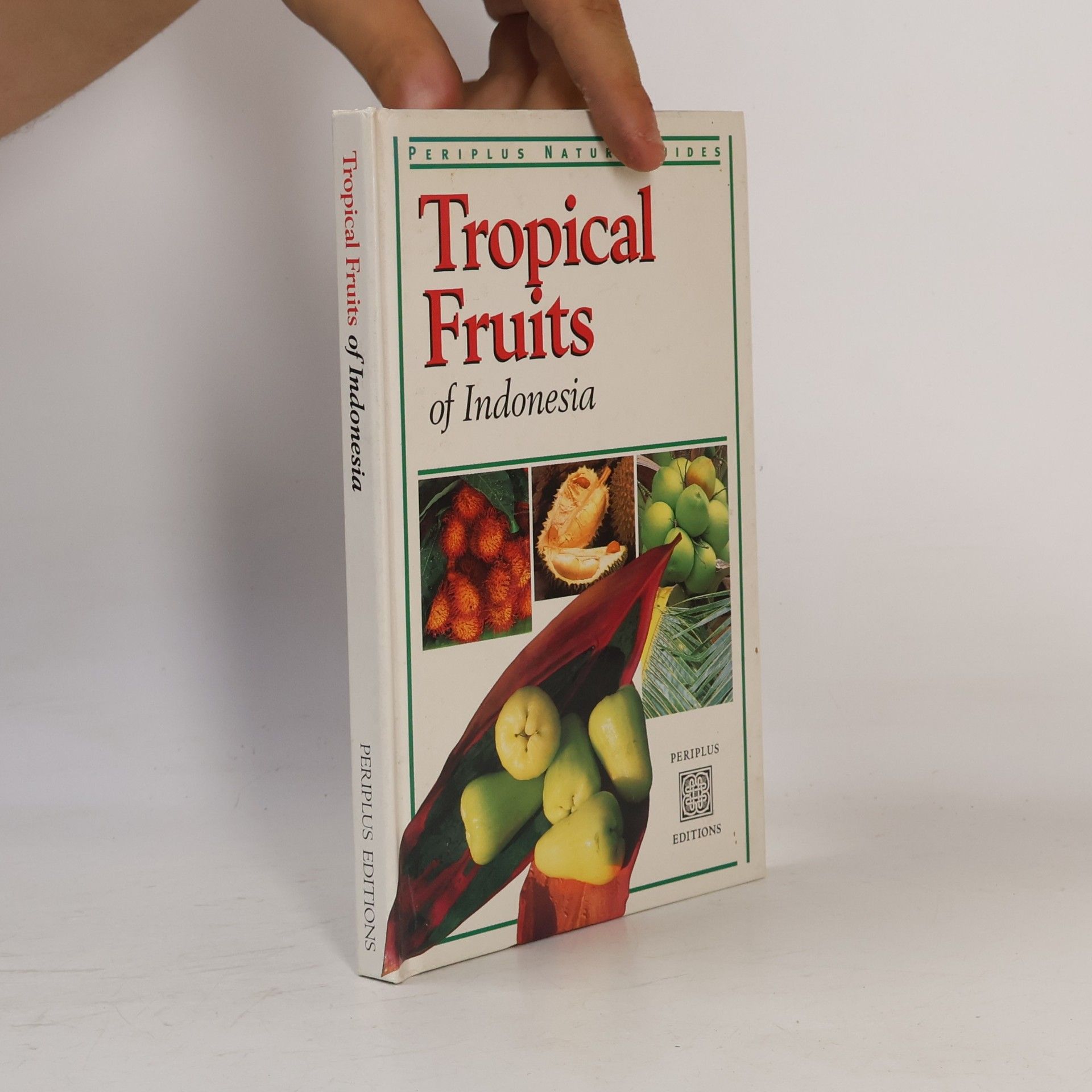 Wendy Hutton Tropical Fruits