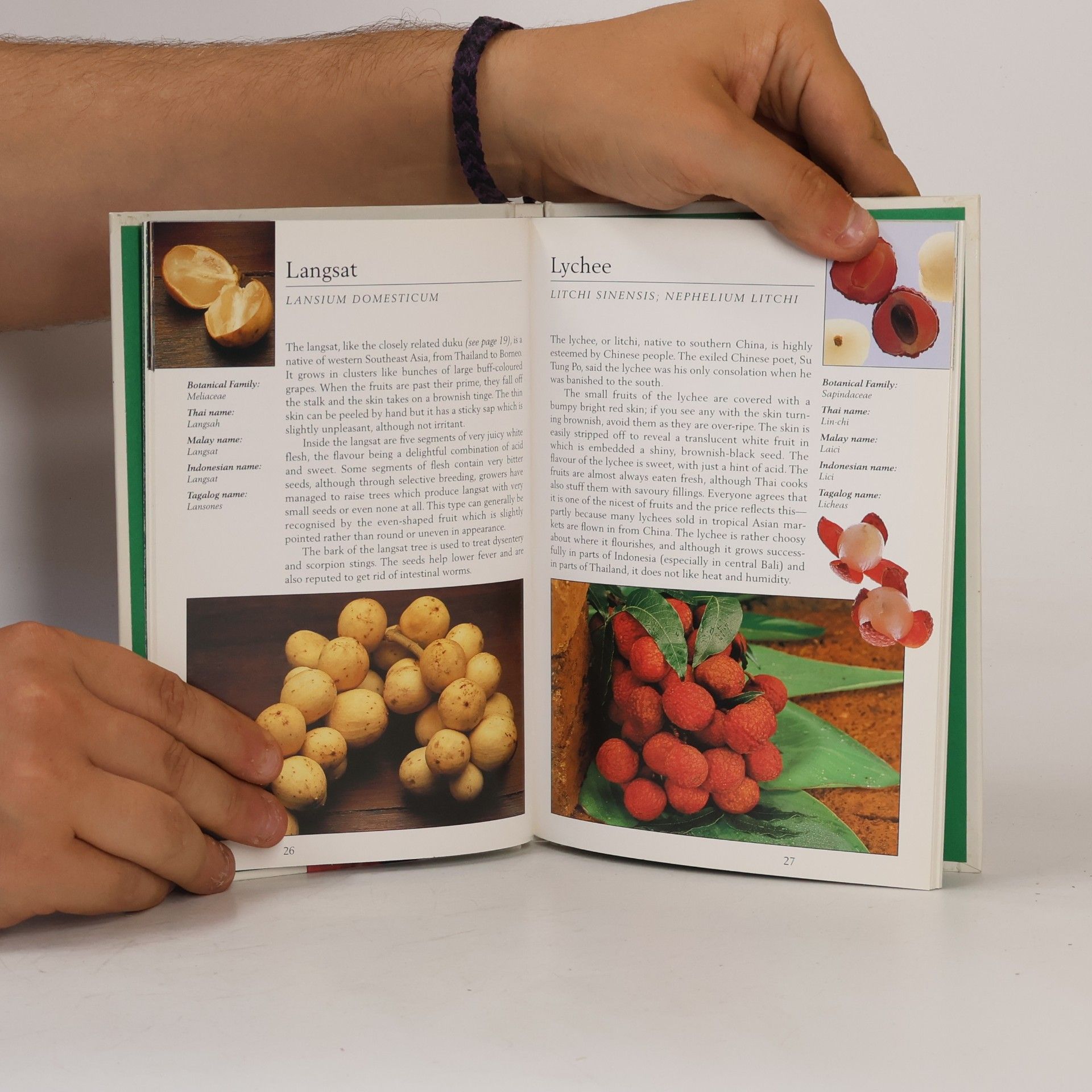 Wendy Hutton Tropical Fruits