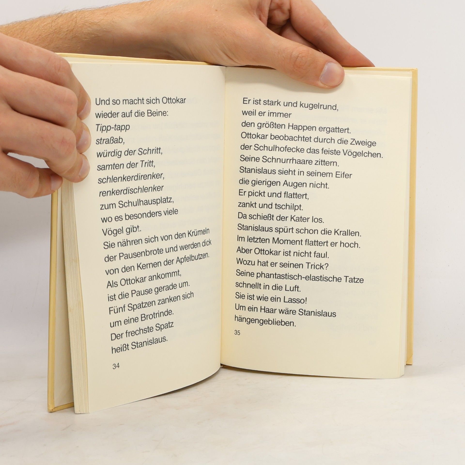 Eveline Hasler Der wunderbare Ottokar
