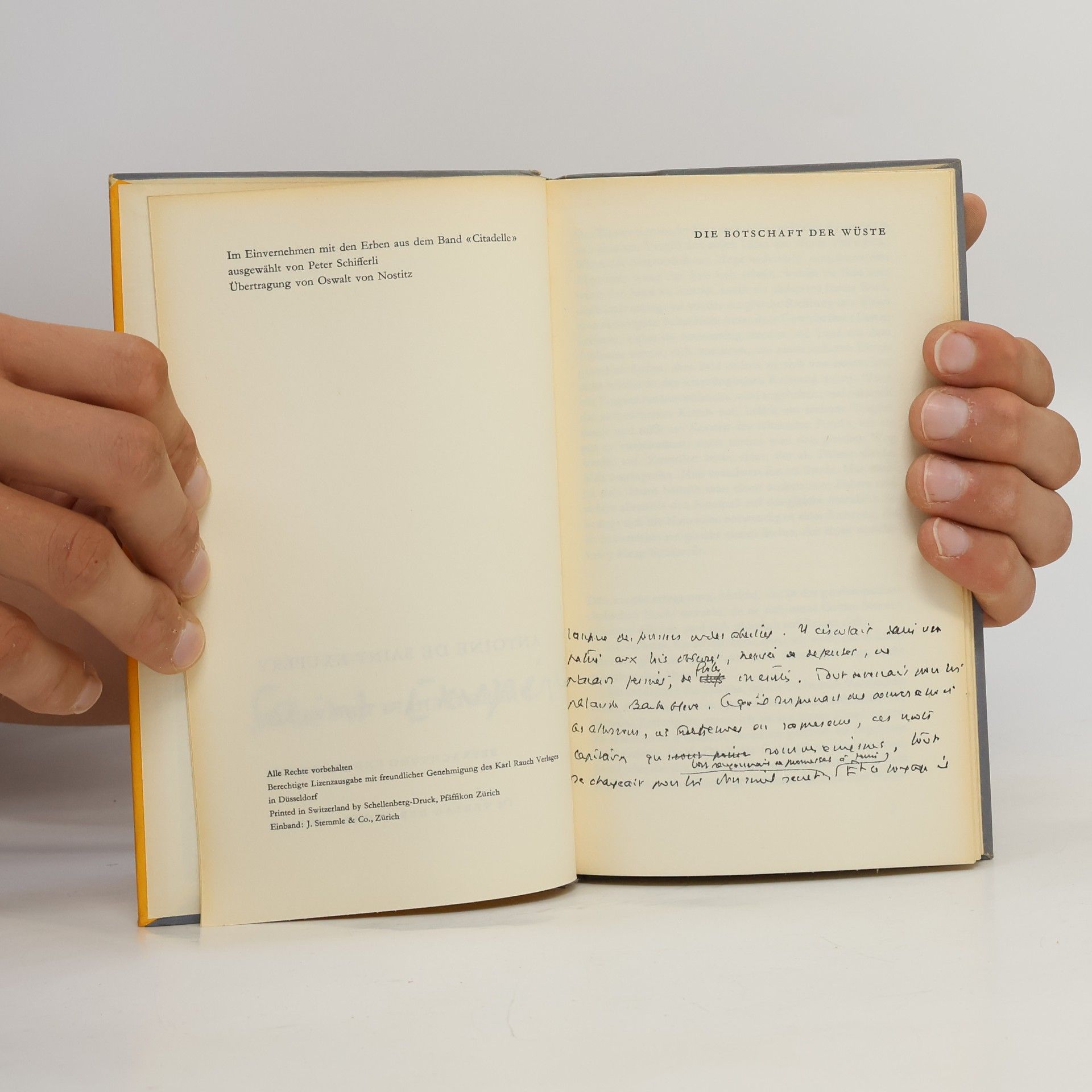 Antoine de Saint-Exupéry Die Botschaft der Wüste