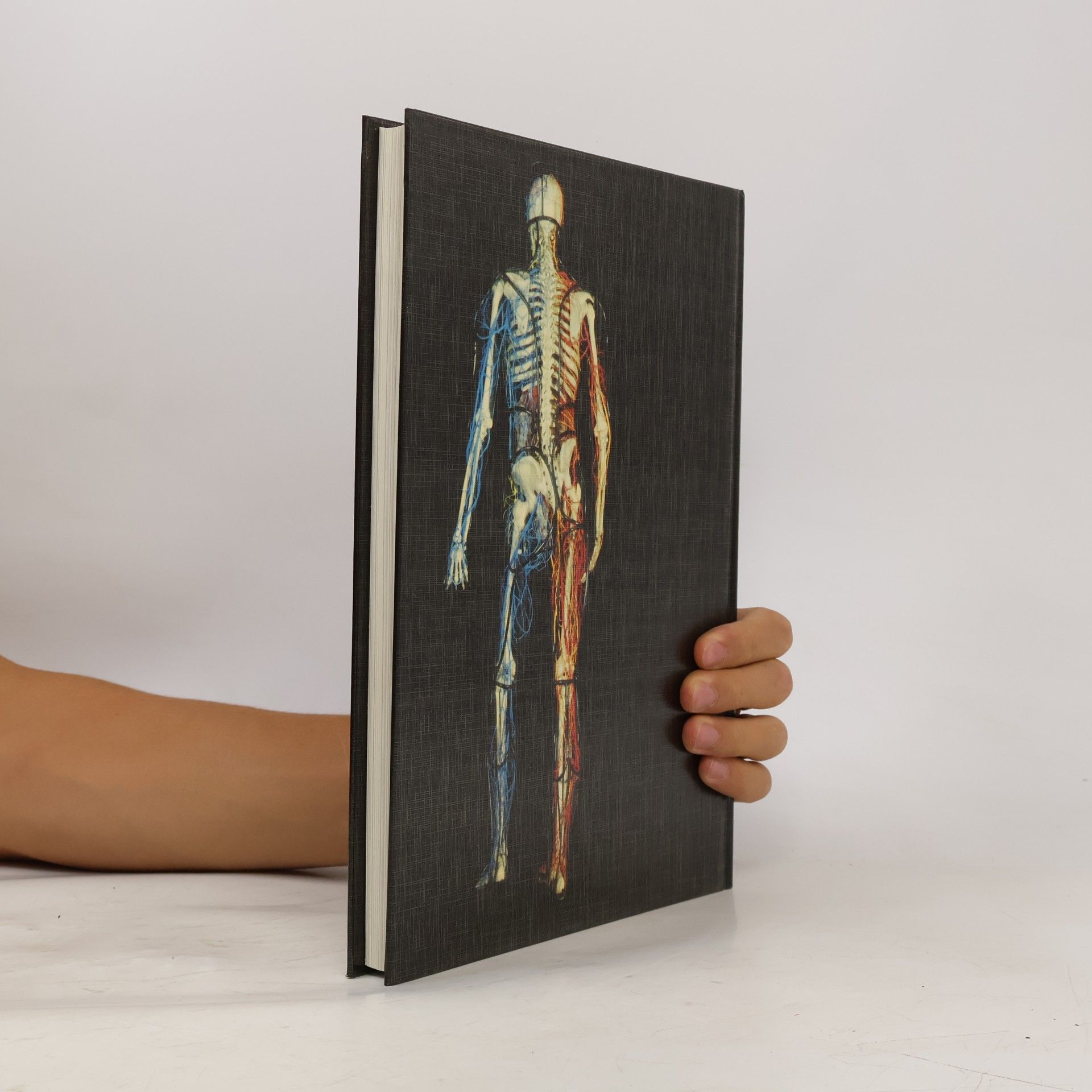 Johannes Petrus Schade Anatomischer Atlas des Menschen