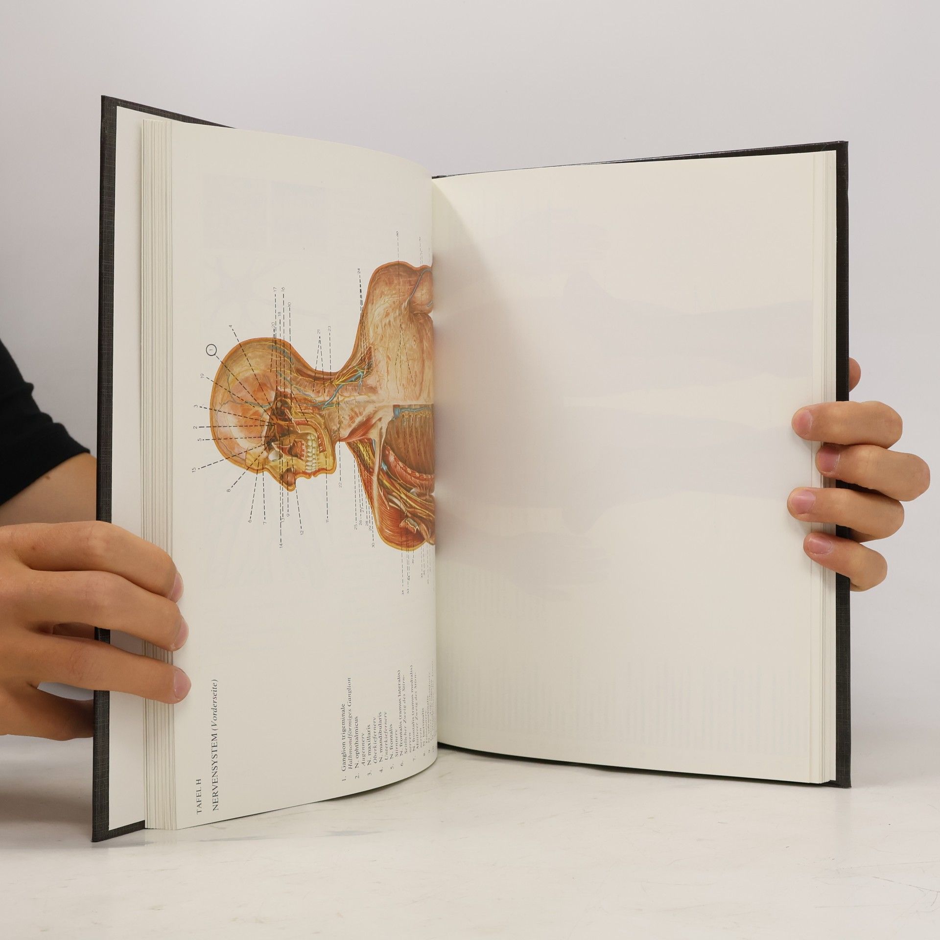 Johannes Petrus Schade Anatomischer Atlas des Menschen