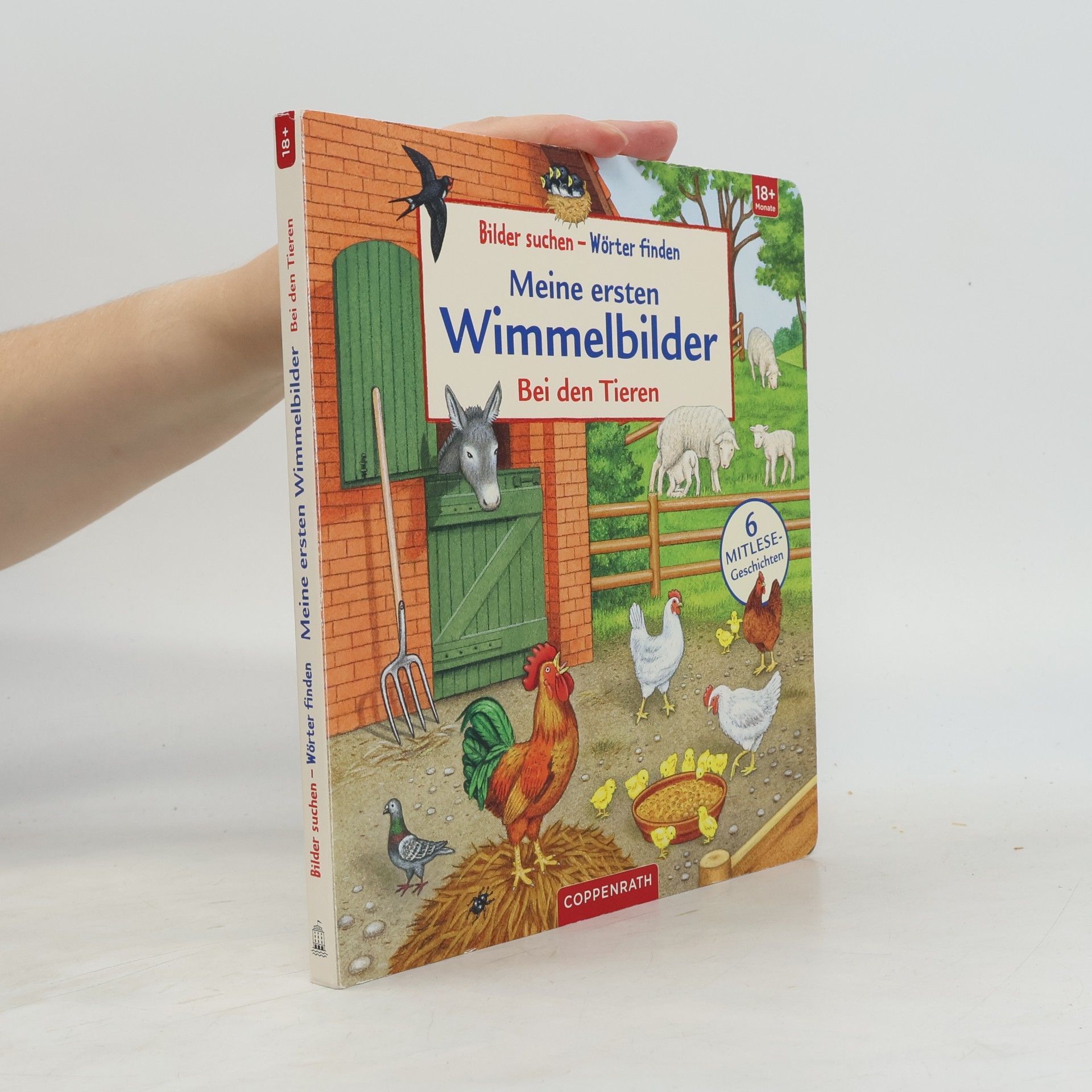 Sybille Brauer Meine ersten Wimmelbilder