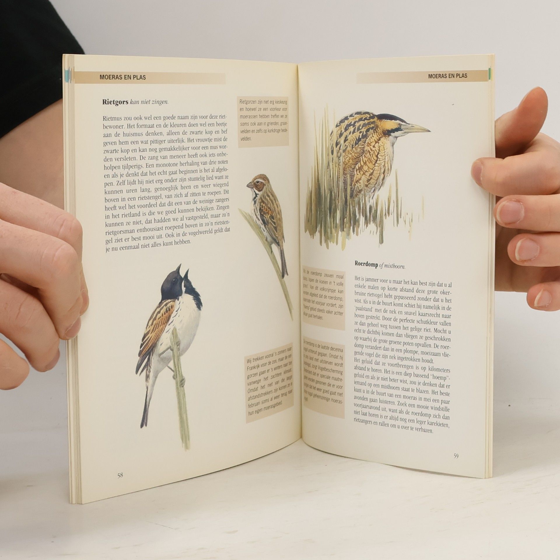 Nico De Haan Ja, natuurlijk in vogelvlucht