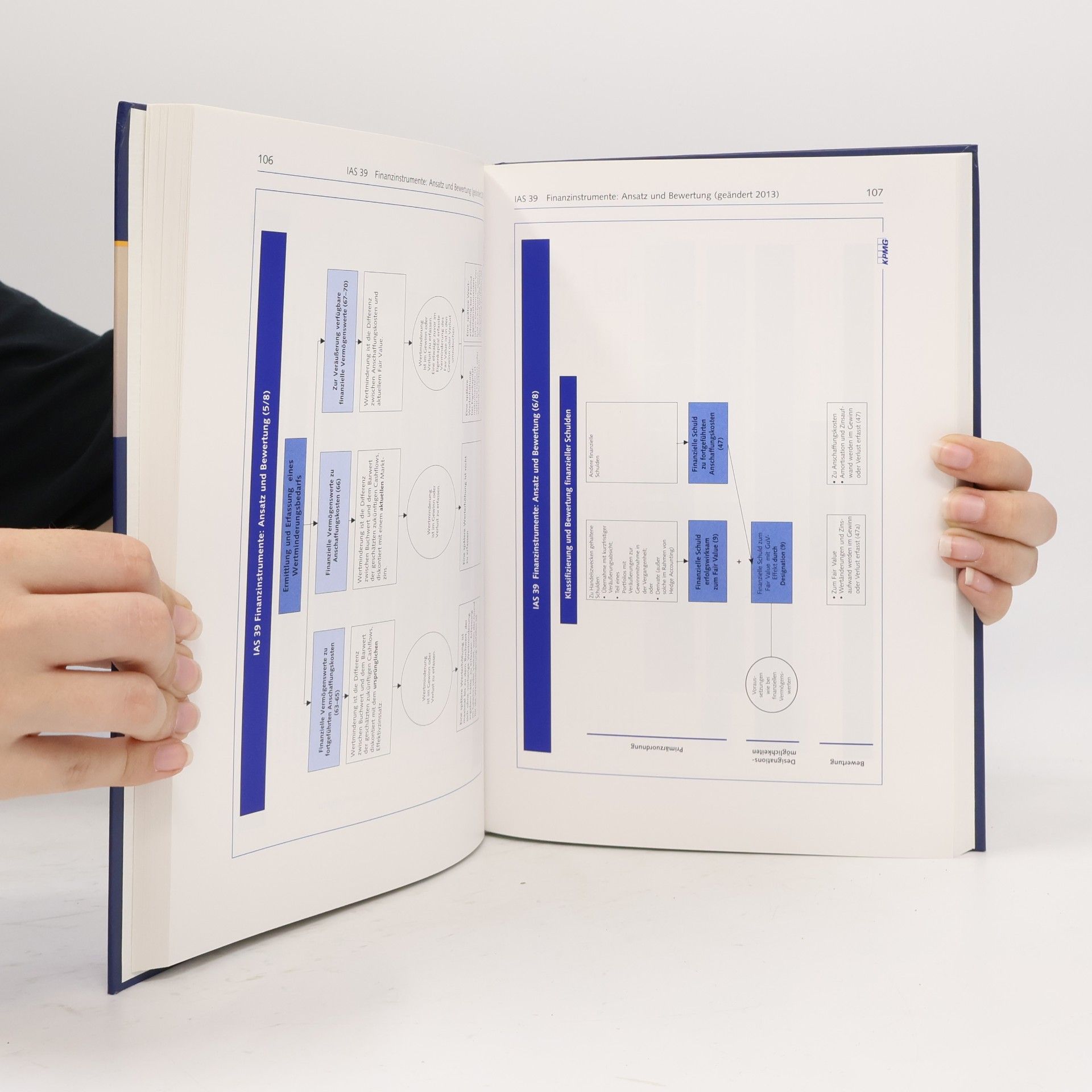 KPMG AG Wirtschaftsprüfungsgesellschaft (Hrsg.) IFRS visuell - 6. Auflage