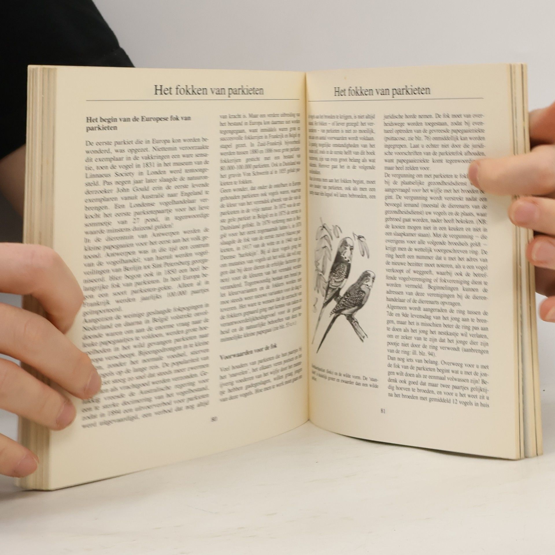 Immanuel Birmelin Het nieuwe parkietenboek
