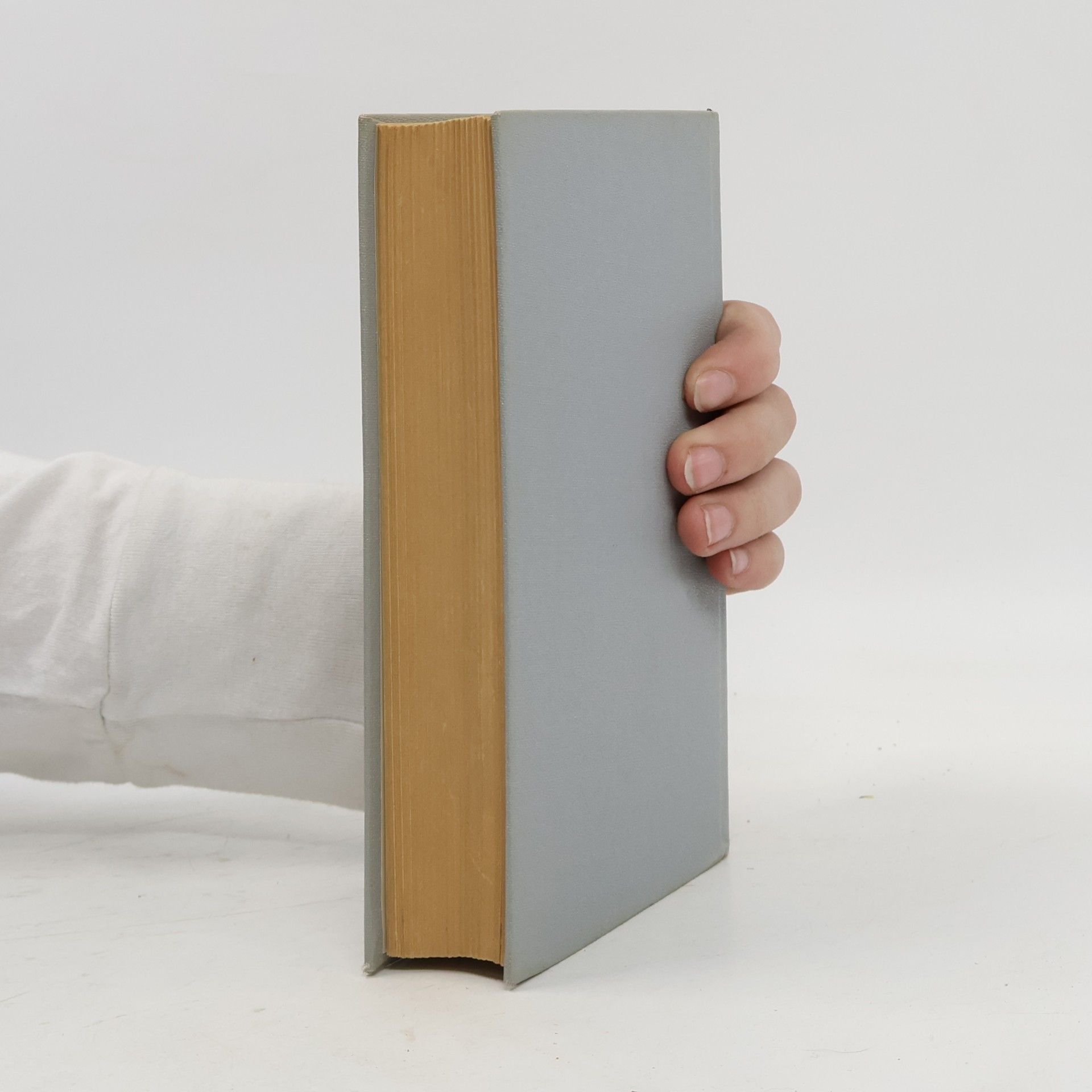 Autorenkollektiv Wörterbuch der Ökonomie Sozialismus