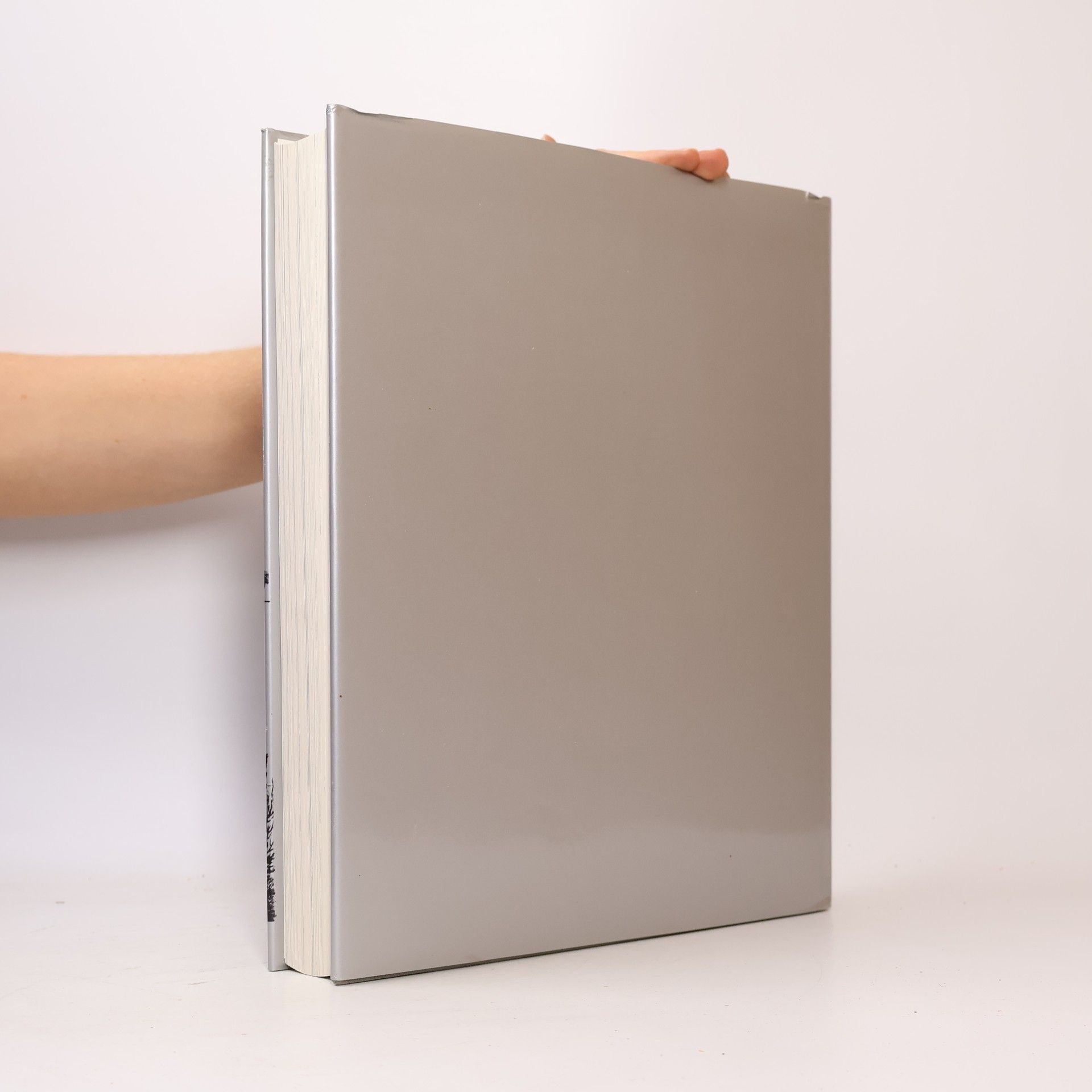 Robin Middleton Weltgeschichte der Architektur: Architektur der Neuzeit