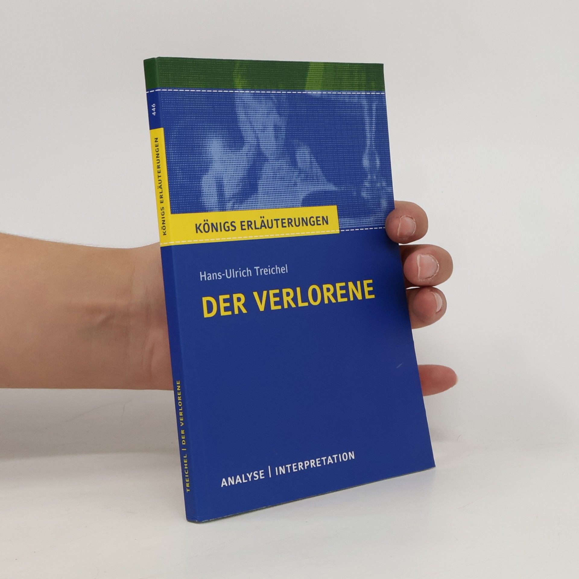 Textanalyse und Interpretation zu Hans-Ulrich Treichel, Der Verlorene