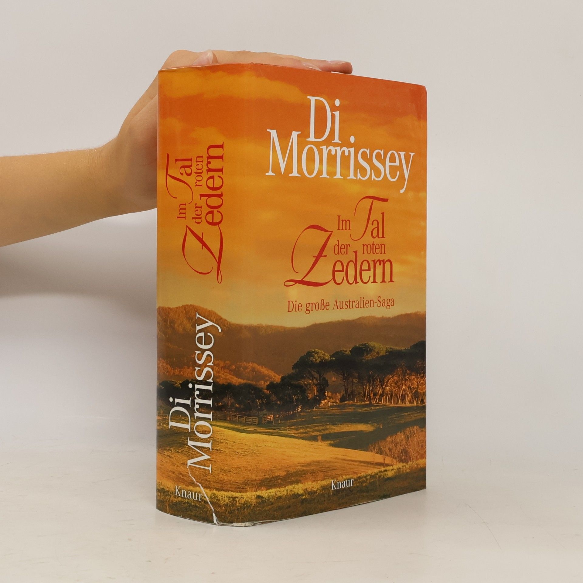 Di Morrissey Im Tal der roten Zedern