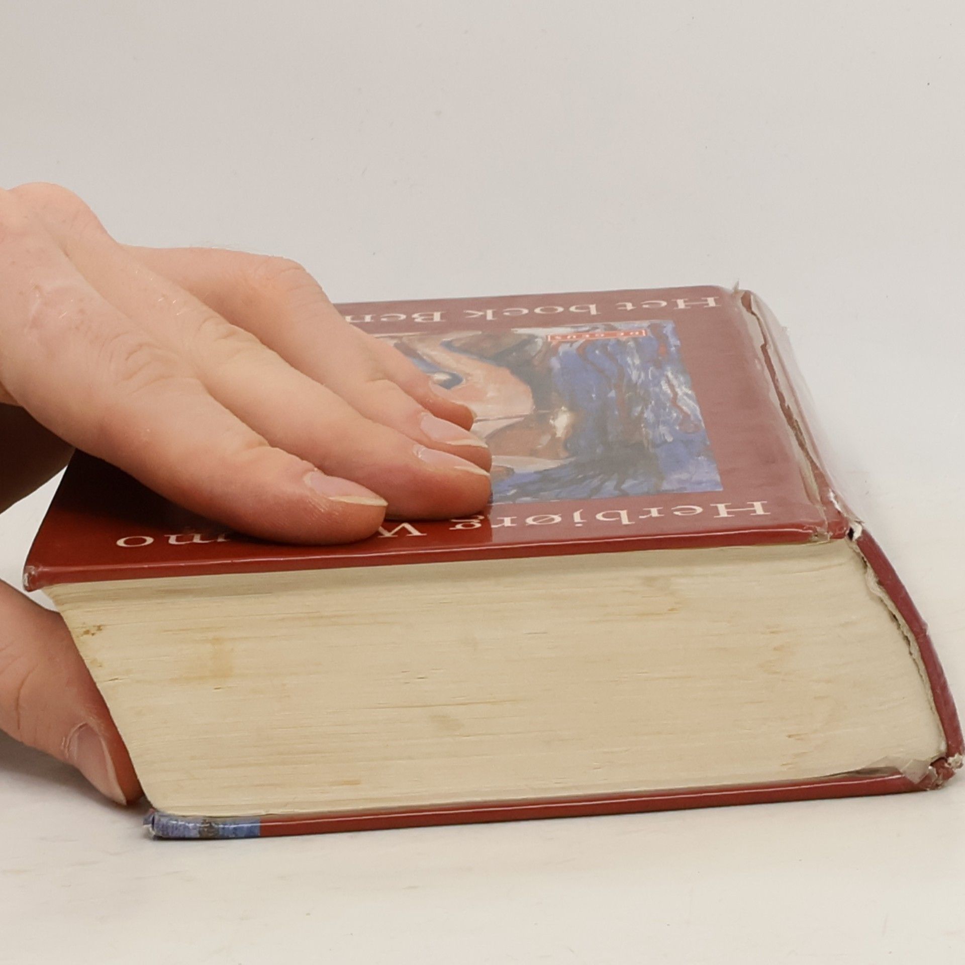 Herbjørg Wassmo Het boek Benjamin