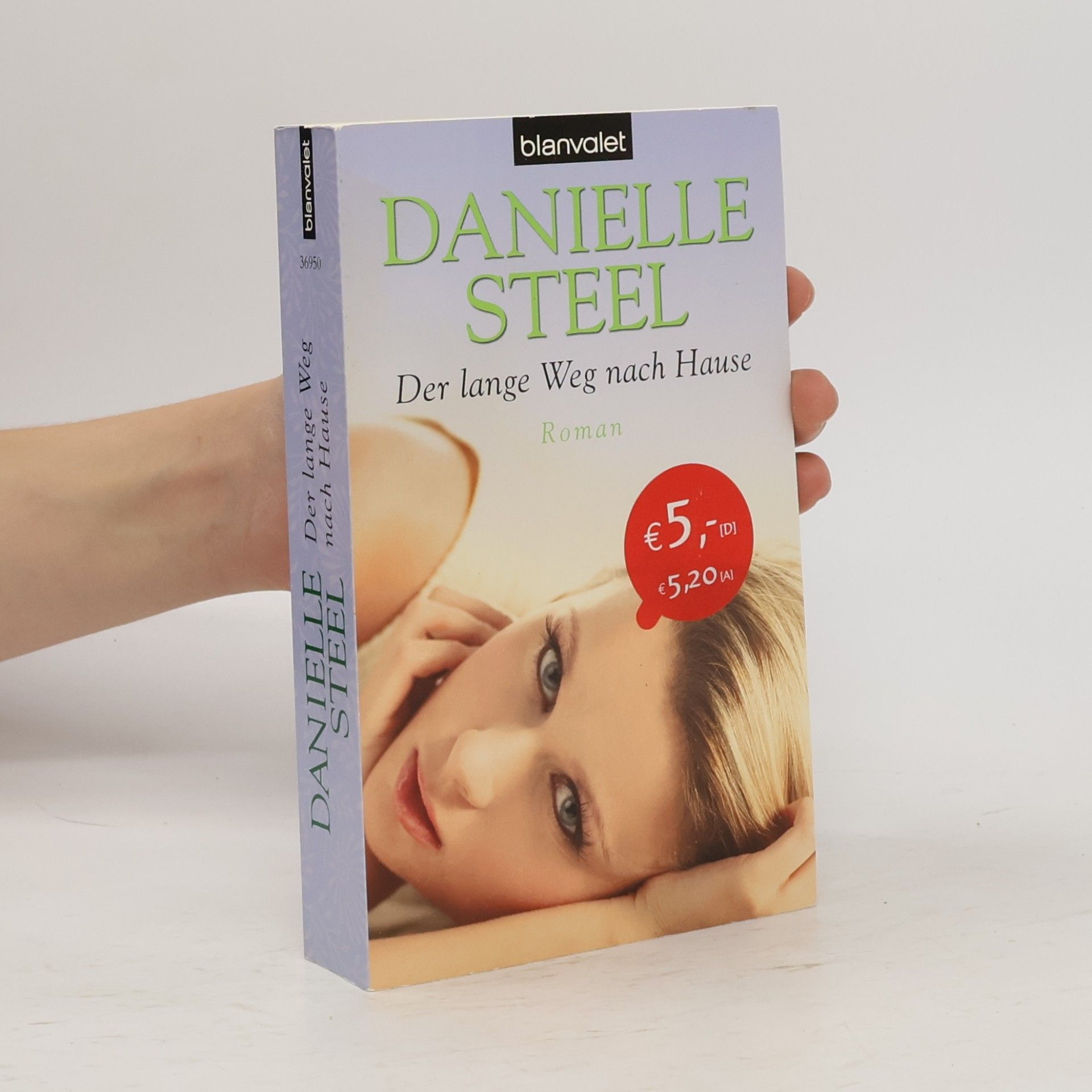 Danielle Steel Der lange Weg nach Hause