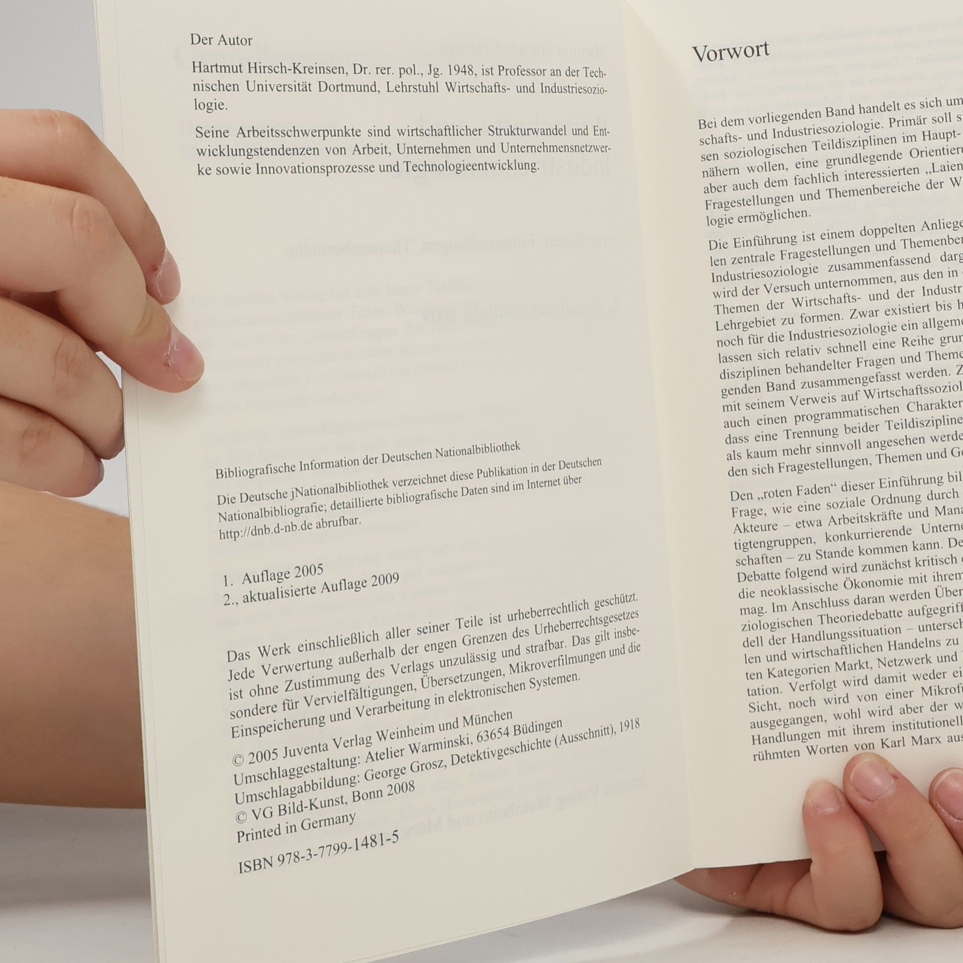 Hartmut Hirsch-Kreinsen Grundlagentexte Soziologie: Wirtschafts- und Industriesoziologie