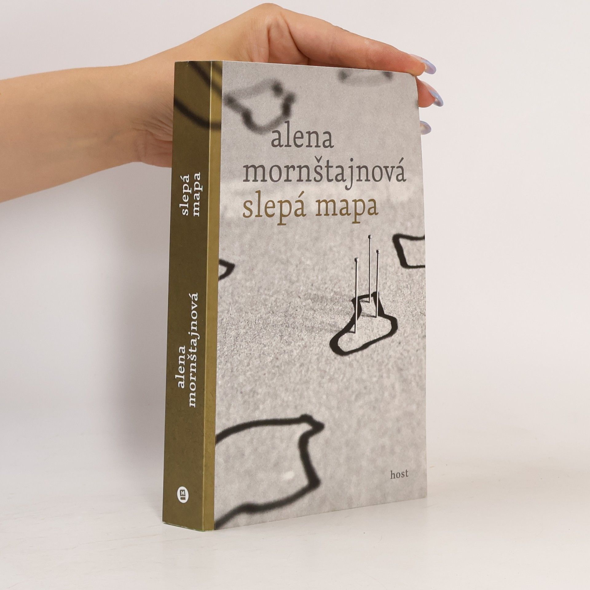 Alena Mornštajnová Slepá mapa
