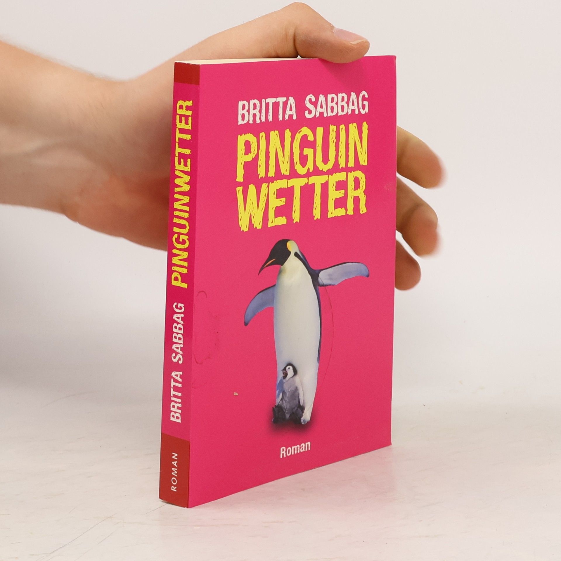 Britta Sabbag Pinguinwetter