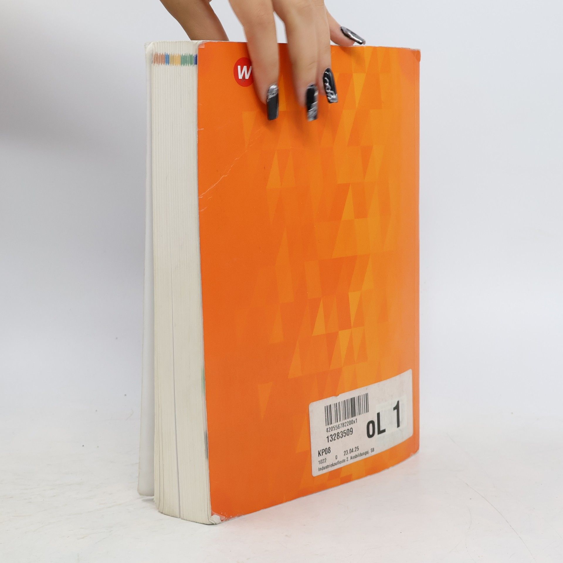 Heike Flecken Industriekaufleute - Ausgabe nach Ausbildungsjahren und Lernfeldern: 2. Ausbildungsjahr Schulbuch