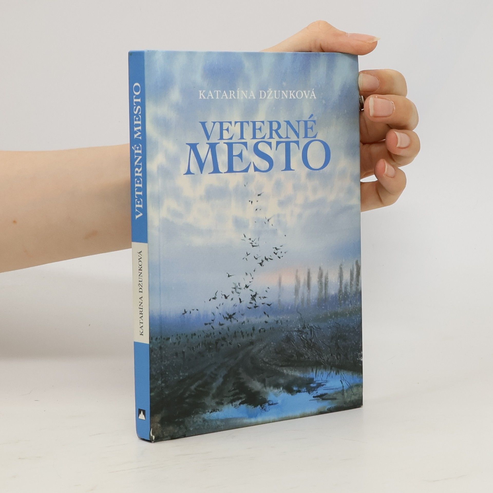 Katarína Džunková Veterné mesto