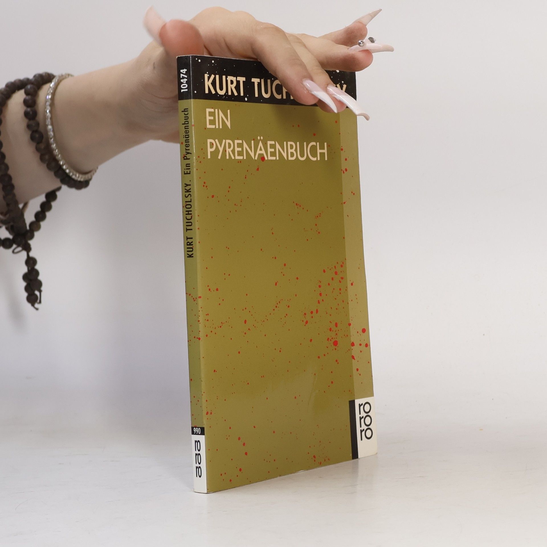Kurt Tucholsky Ein Pyrenäenbuch