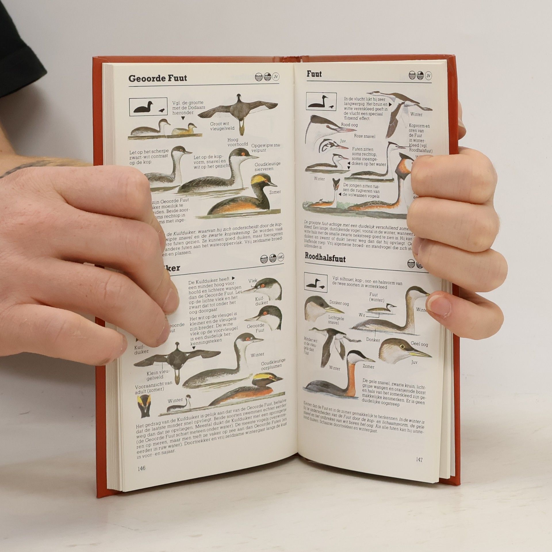Peter Hayman Zakgids vogels