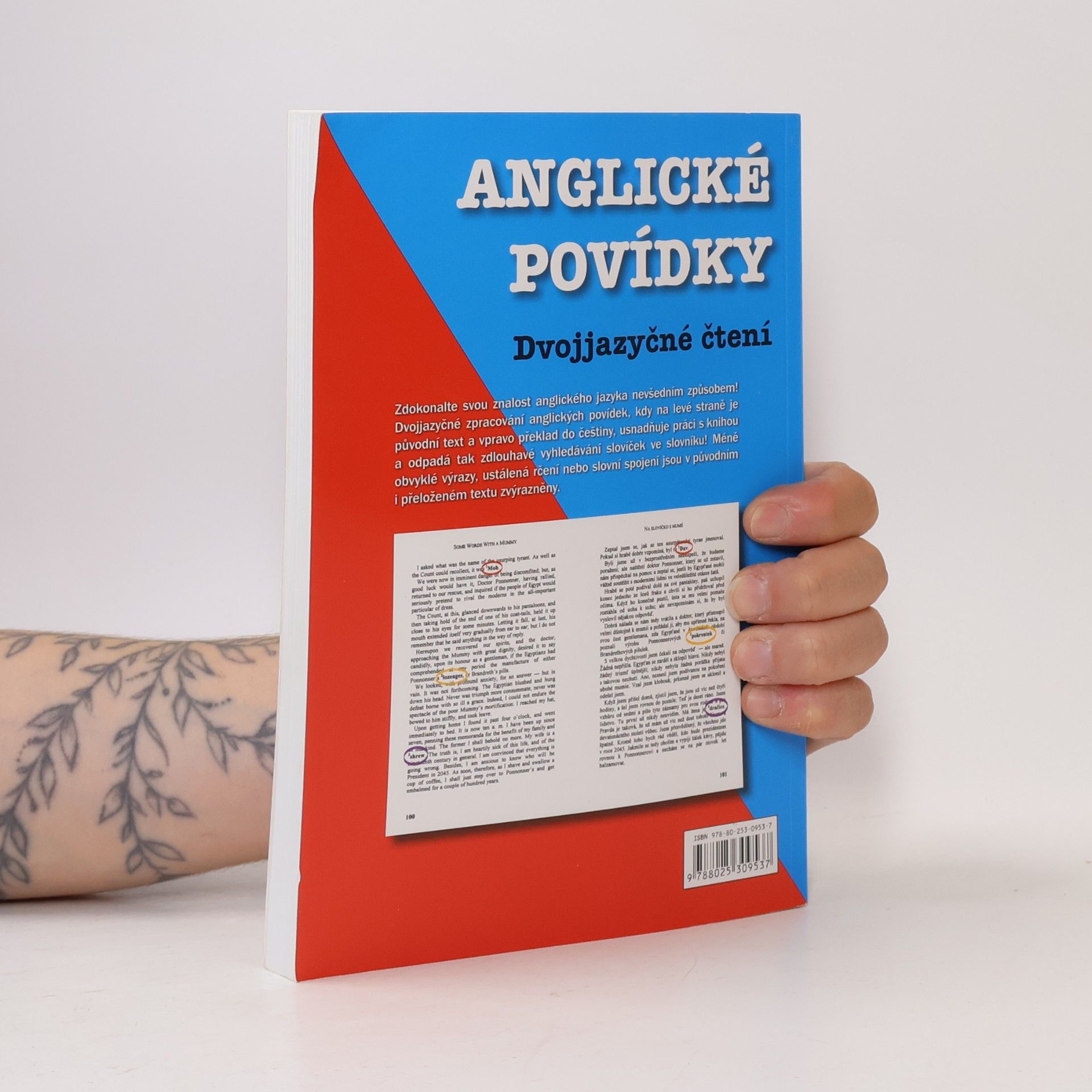 Edgar Allan Poe English Stories. Anglické povídky: Dvojjazyčné čtení