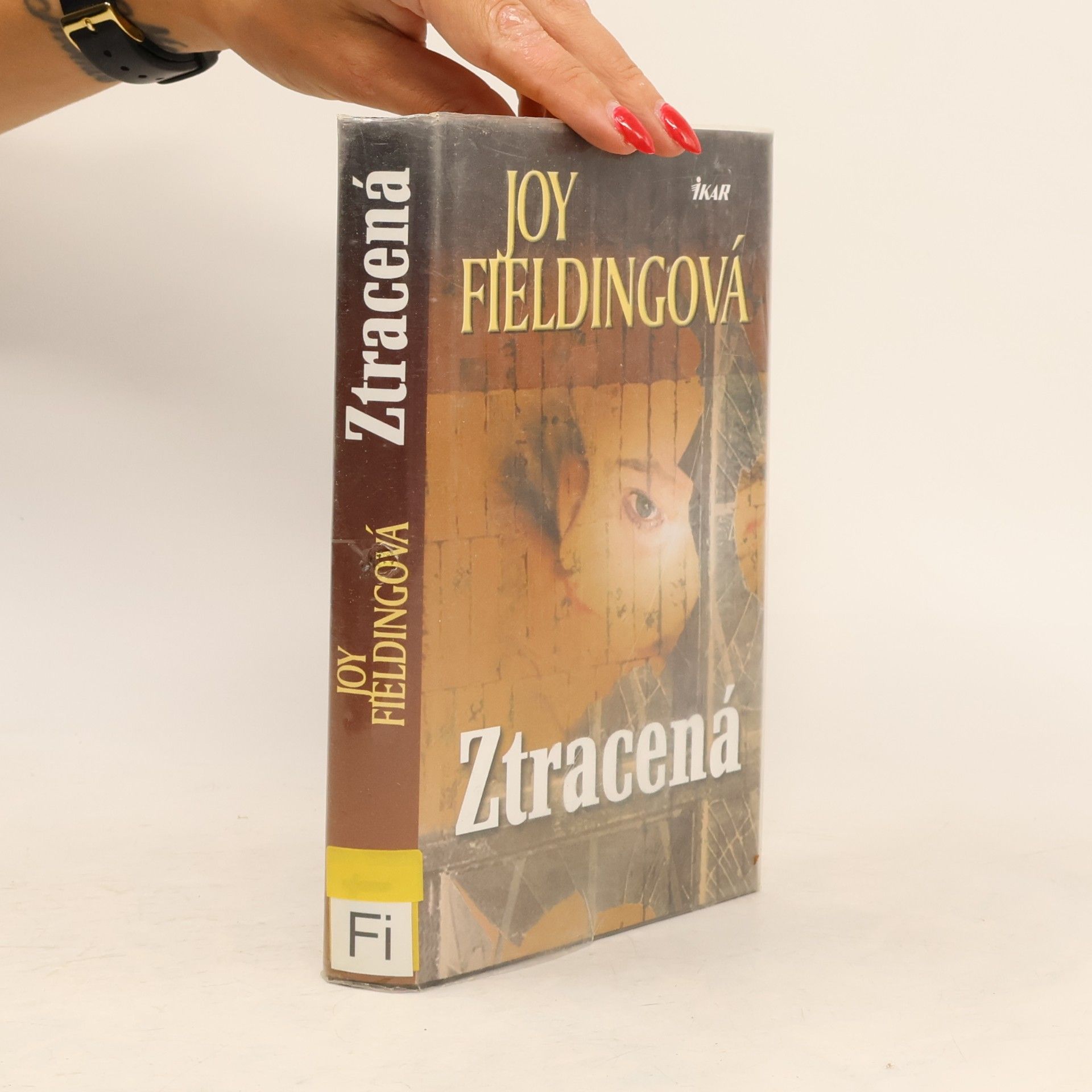 Joy Fielding Ztracená