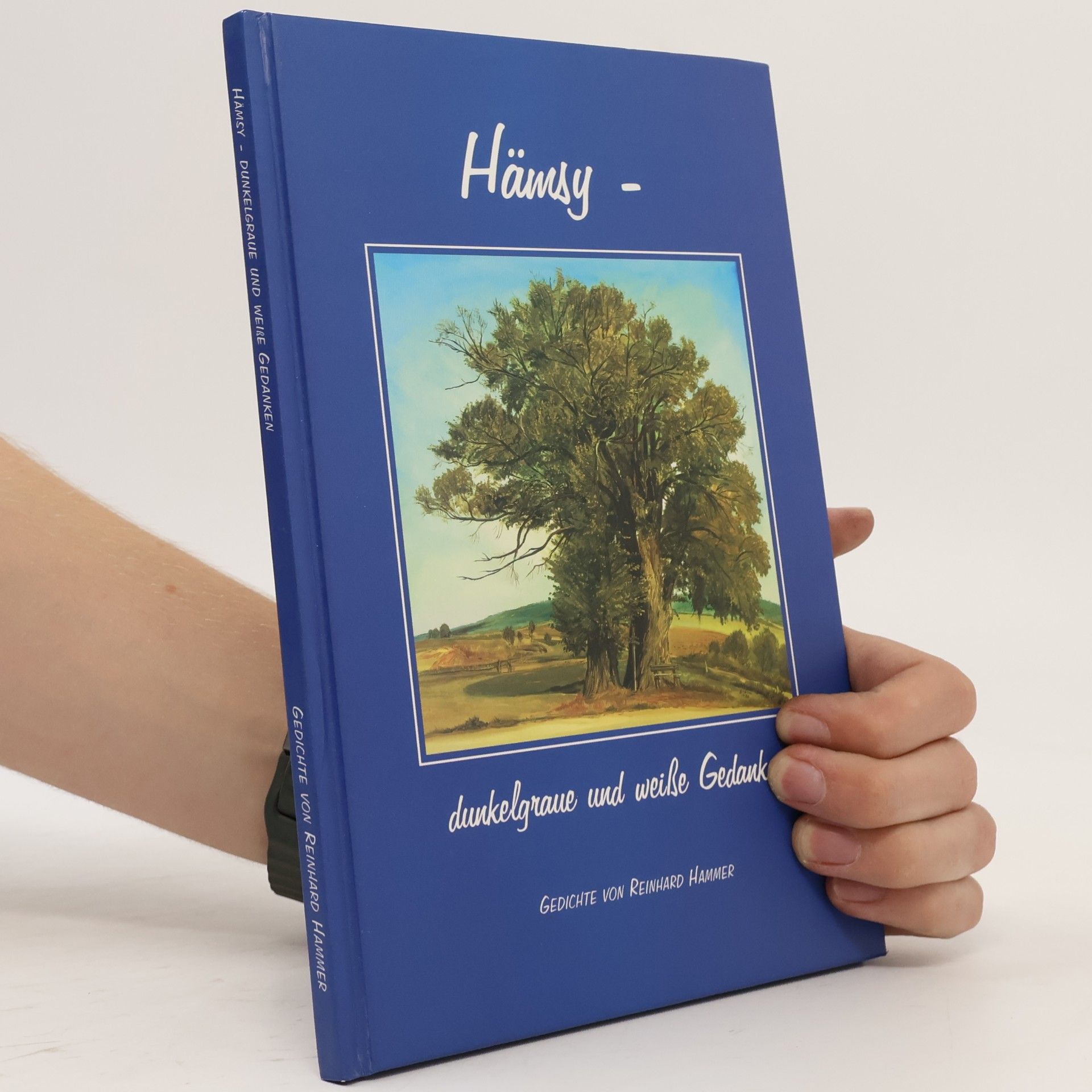 Hammer, Reinhard Hämsy - dunkelgraue und weisse Gedanken: Gedichte
