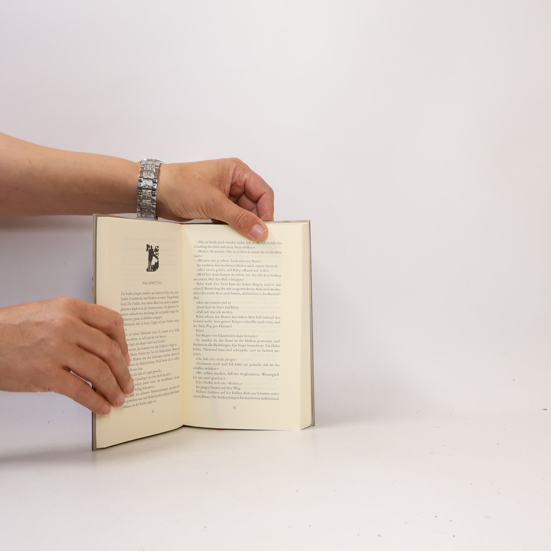 Ralph Ellison Flying home und andere Geschichten