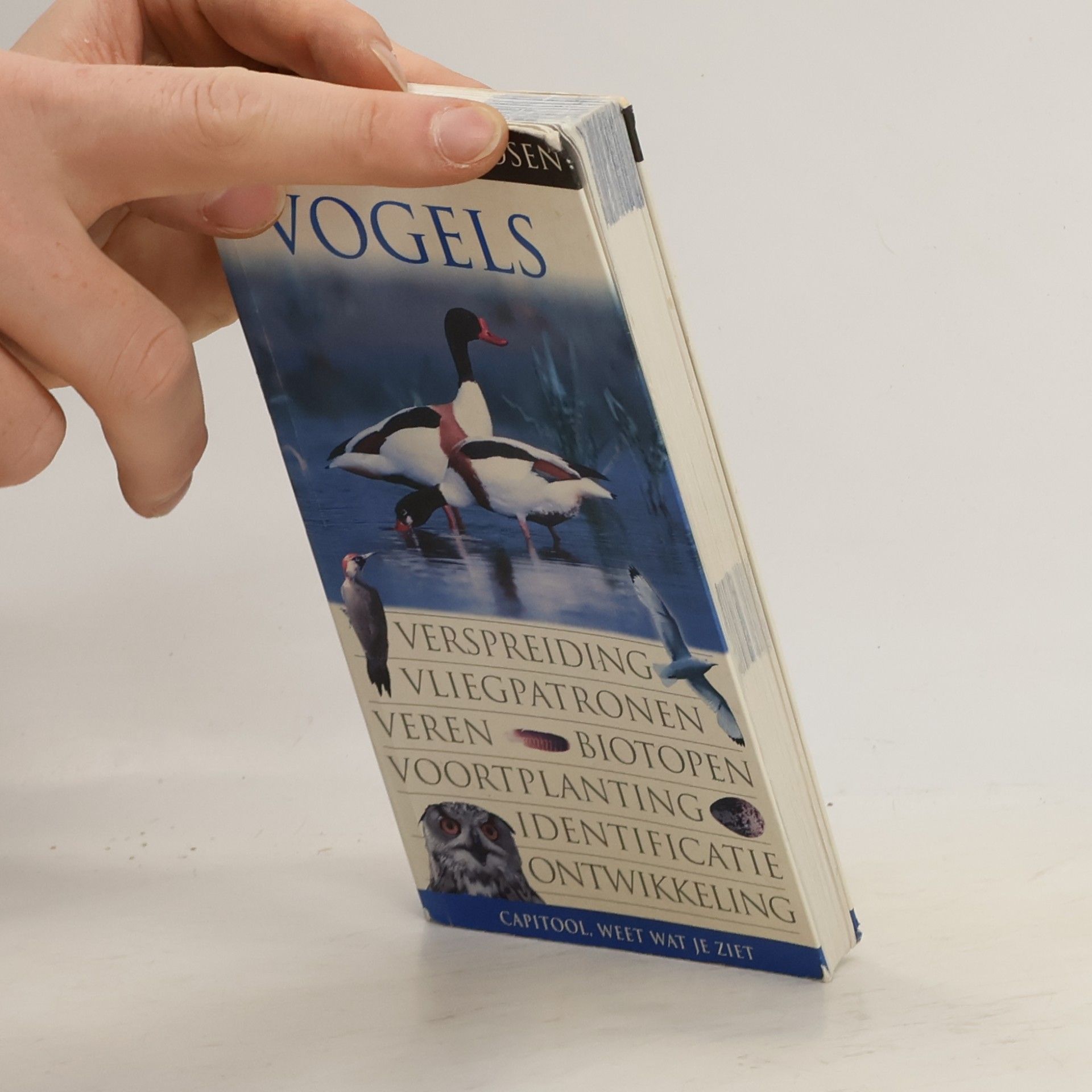 John Woodward Capitool Natuurgids Vogels