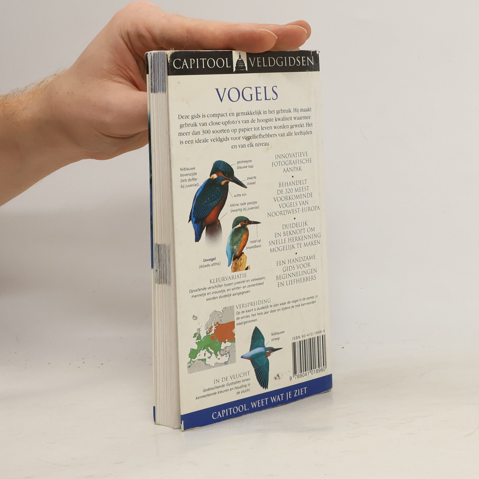 John Woodward Capitool Natuurgids Vogels