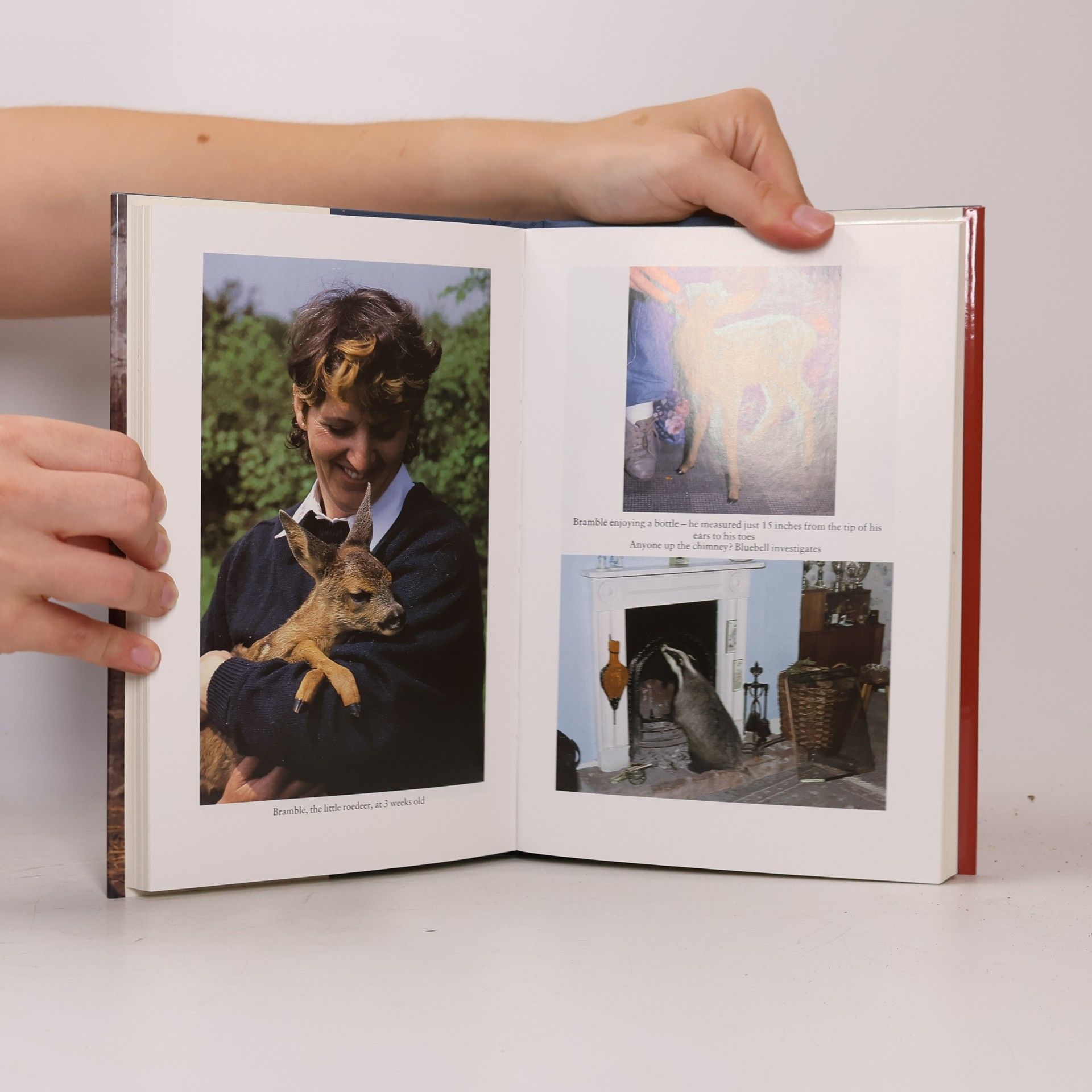 Pauline Kidner "Life with Bluebell" and Other Stories from an Animal Orphanage