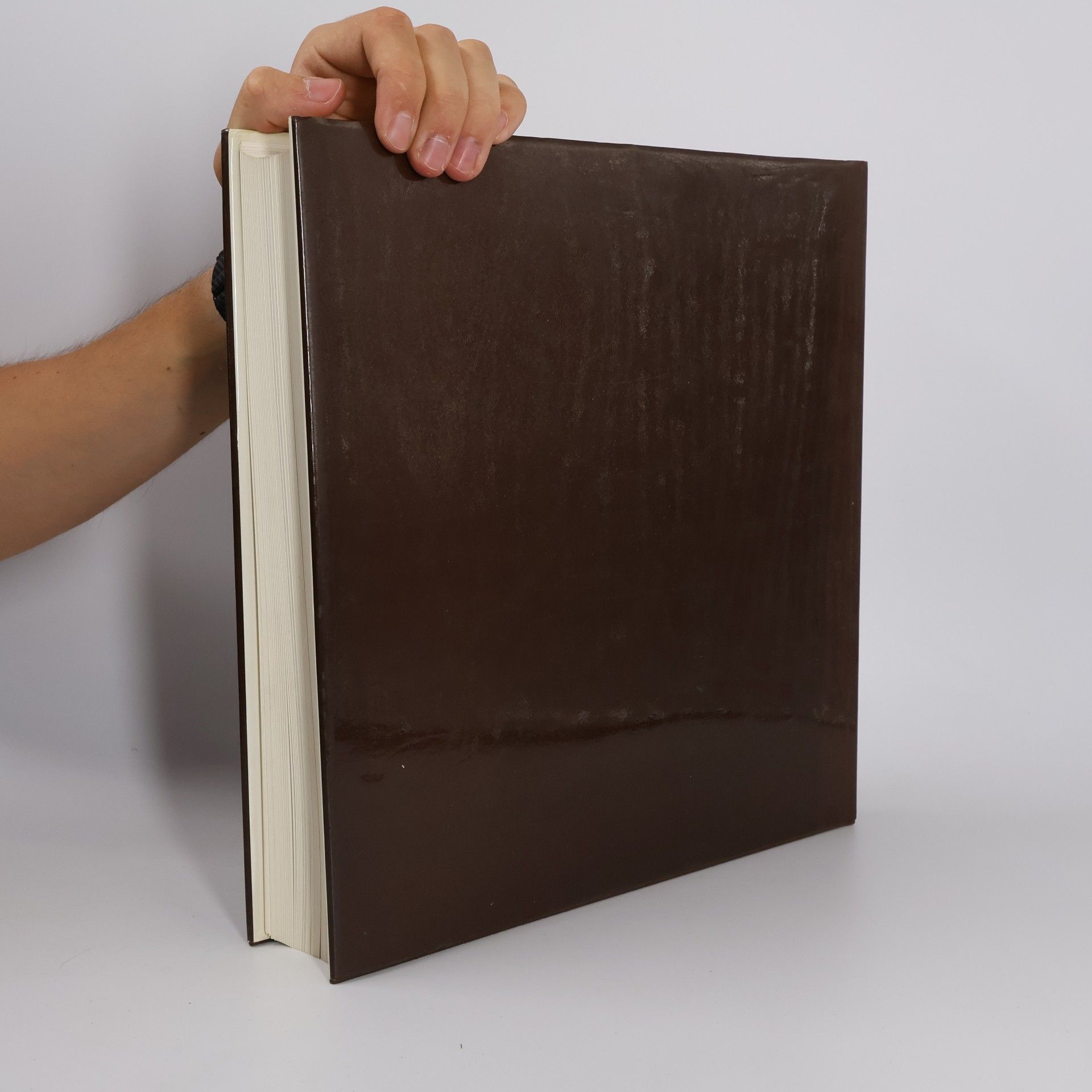 E. F. Engelhardt Teppiche die Bilder des Orients
