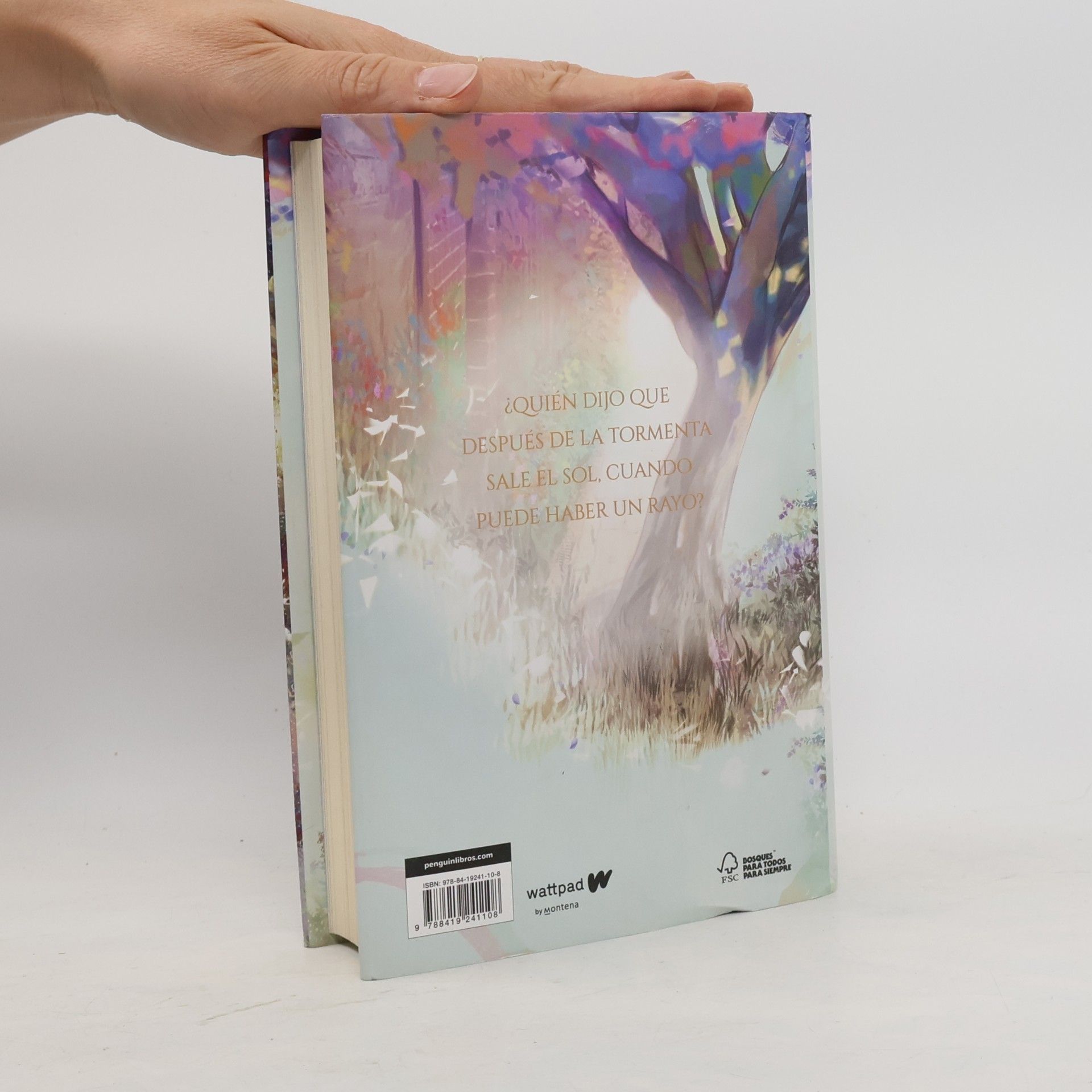 Flor Salvador Boulevard. Libro 1: Edición ilustrada por MMIVENS