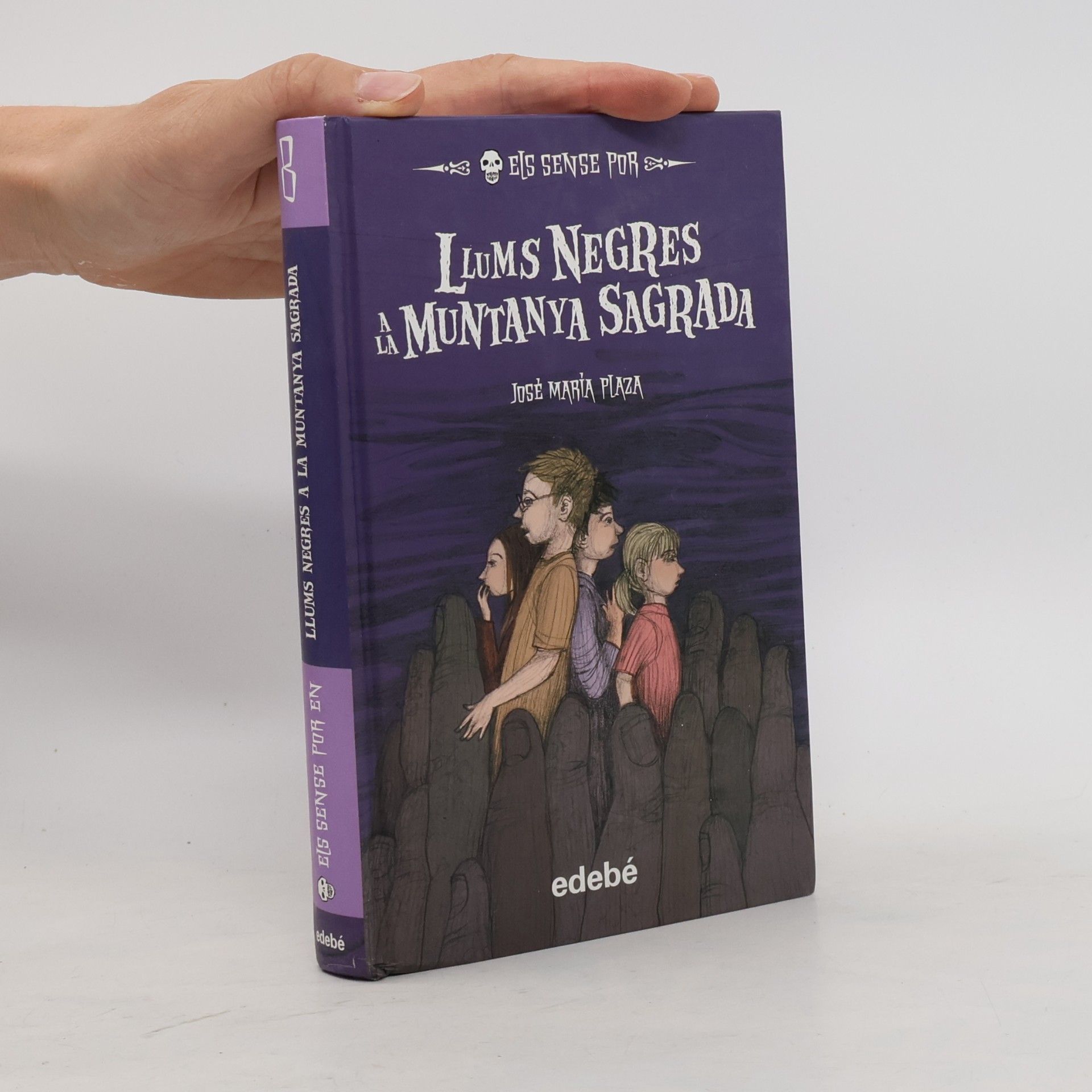 José María Plaza Plaza Els Sense Por: Llums negres a la muntanya sagrada