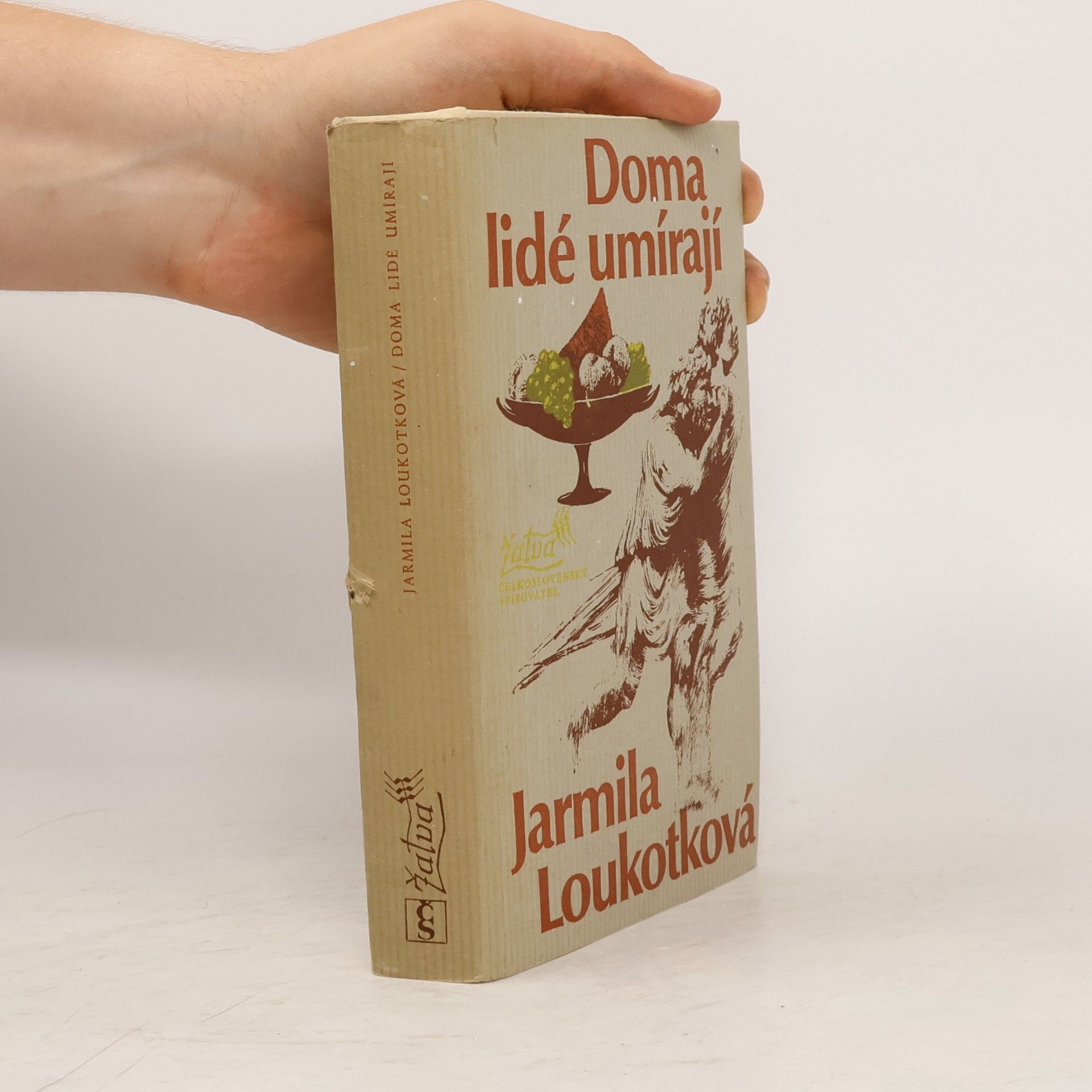 Doma lidé umírají
